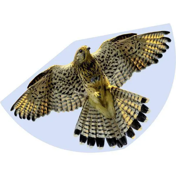 Falke sólyom nylon papírsárkány 92x62 cm