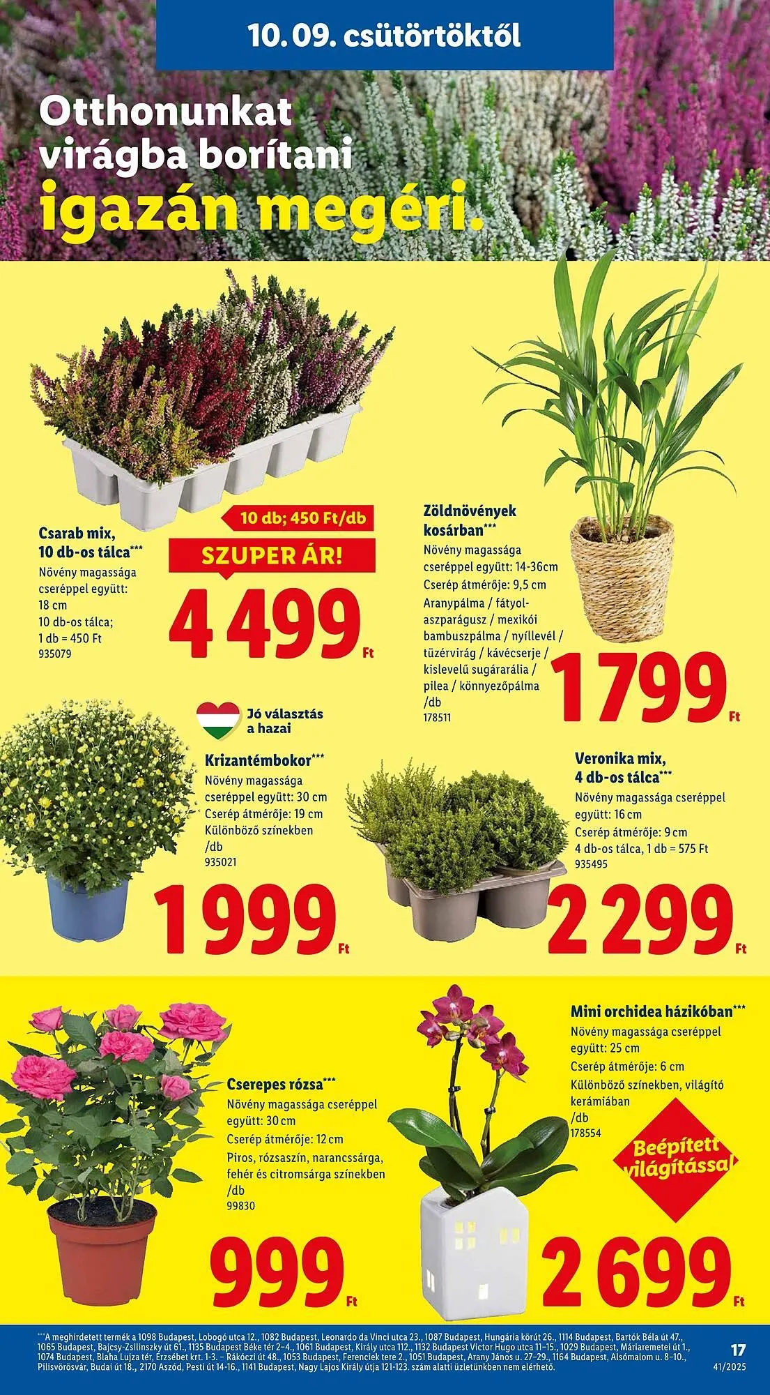 Katalógus Lidl akciós újság október 9.-tól október 15.-ig 2025. - Oldal 17