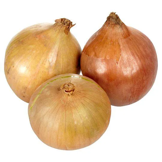 Vöröshagyma lédig