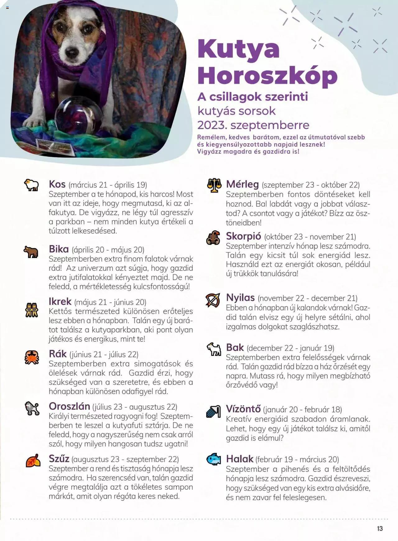 Katalógus AlphaZoo Akciós újság szeptember 11.-tól szeptember 24.-ig 2023. - Oldal 13