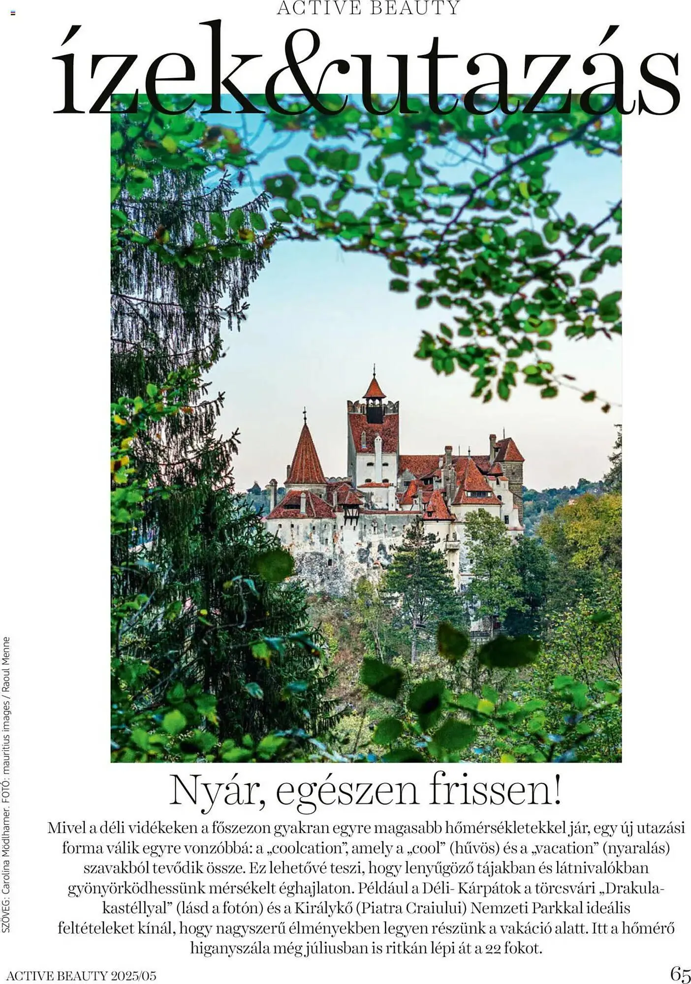 Katalógus DM akciós újság május 22.-tól június 19.-ig 2025. - Oldal 65