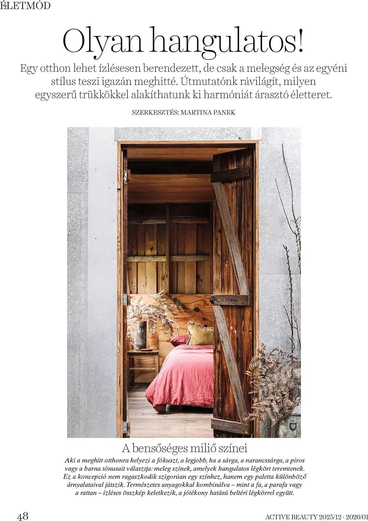 Katalógus DM akciós újság december 18.-tól január 31.-ig 2026. - Oldal 48