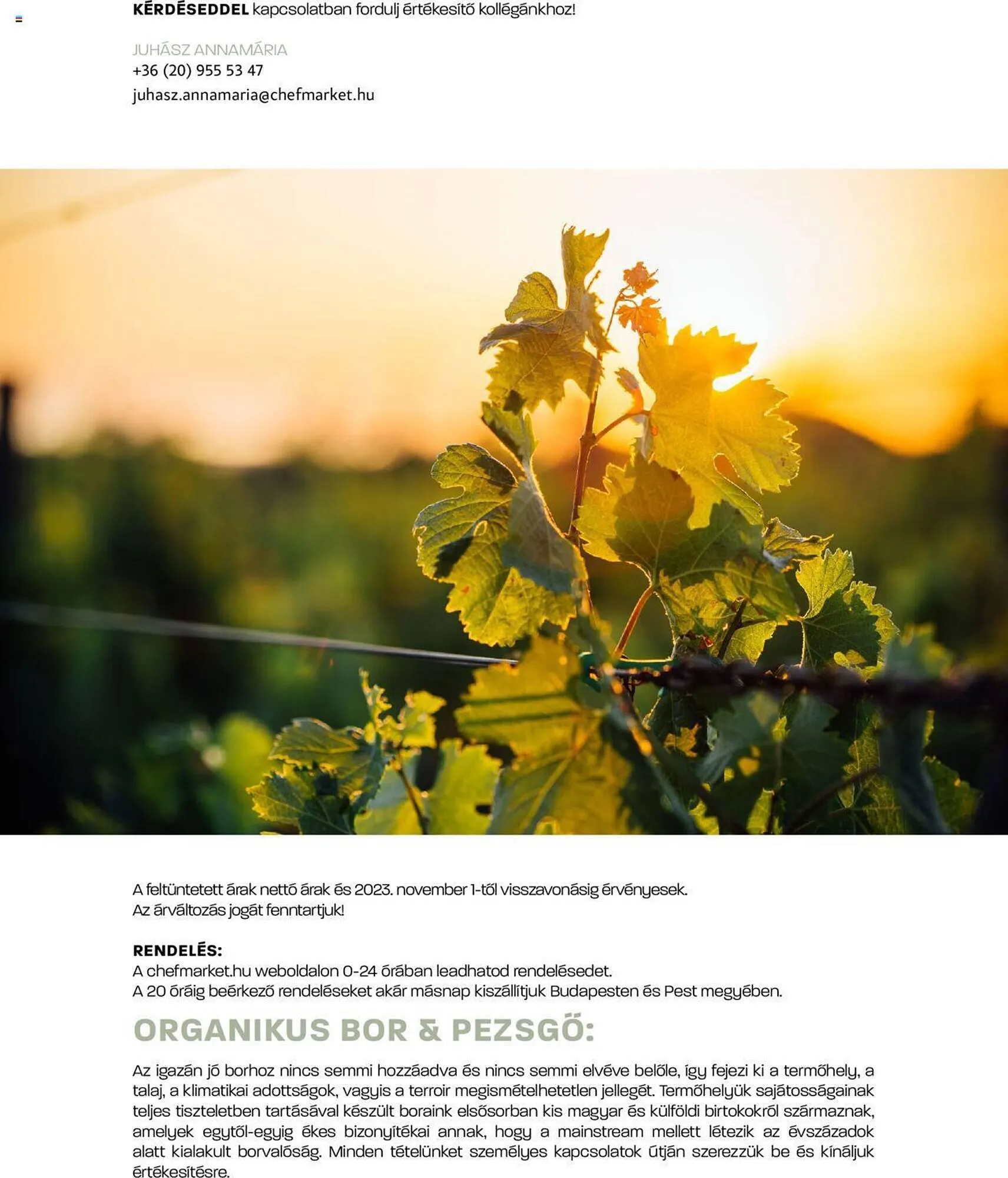 Katalógus Chef Market akciós újság november 6.-tól november 30.-ig 2023. - Oldal 17