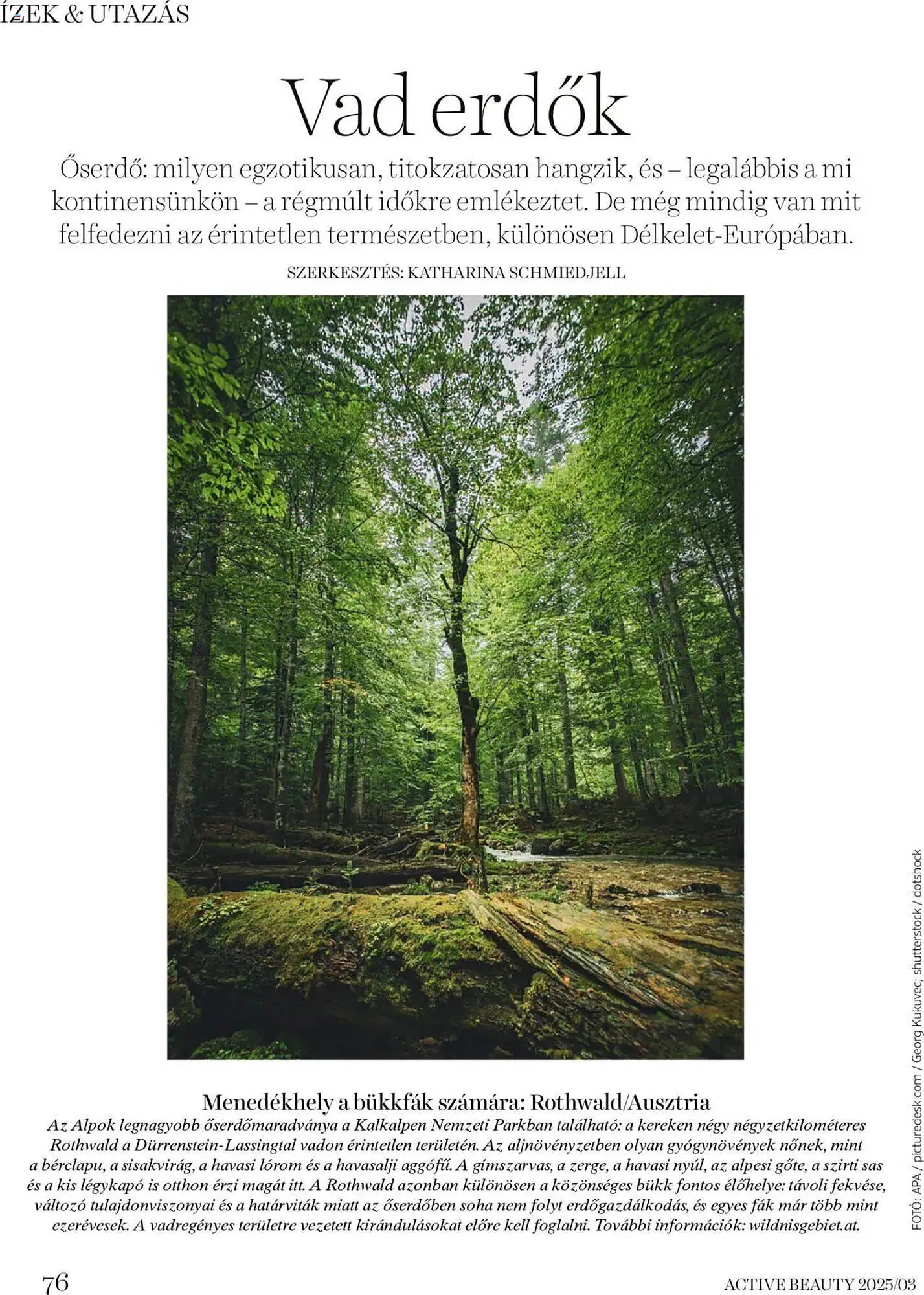 Katalógus DM akciós újság március 20.-tól március 27.-ig 2025. - Oldal 76