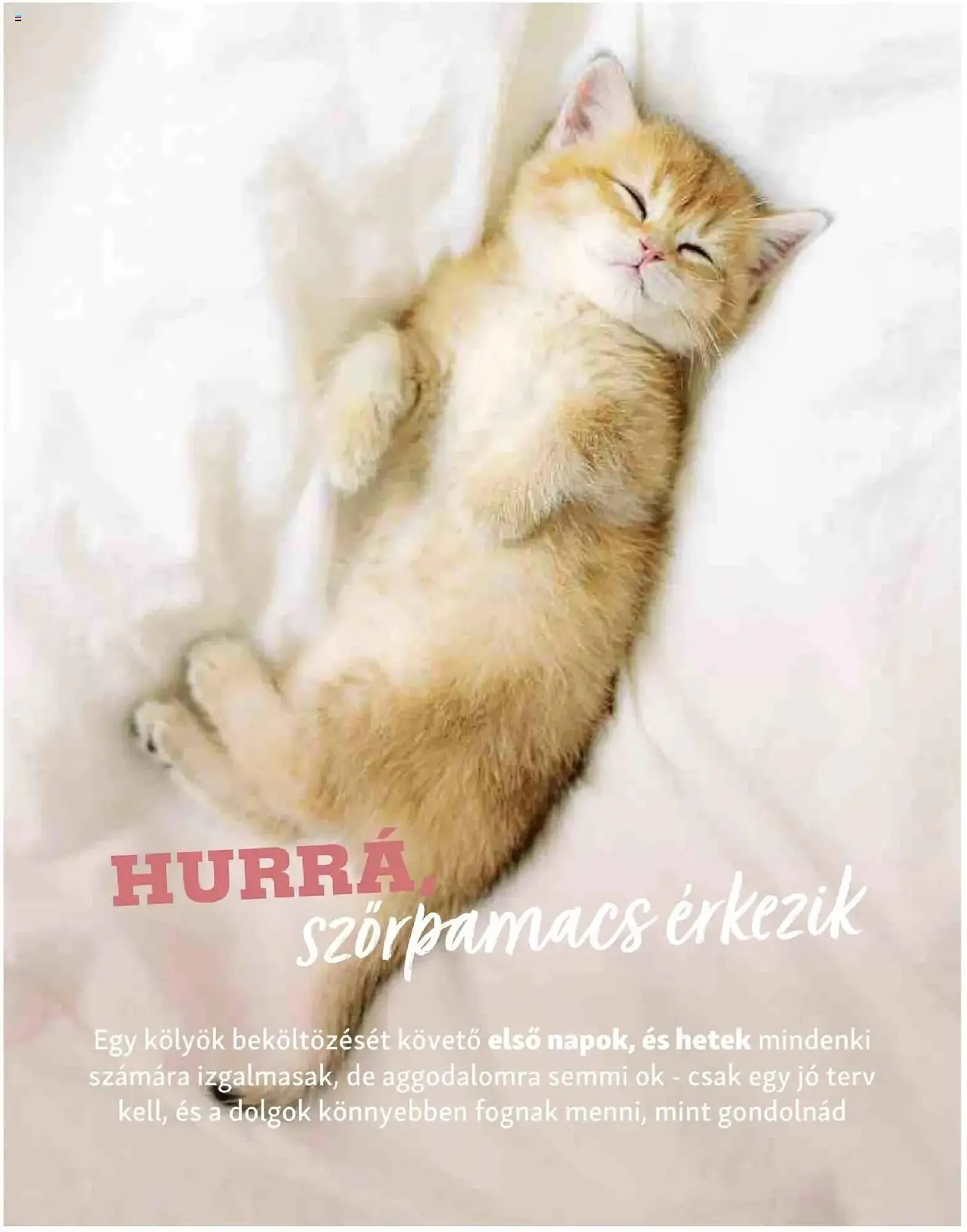 Katalógus Fressnapf akciós újság május 5.-tól május 13.-ig 2025. - Oldal 16