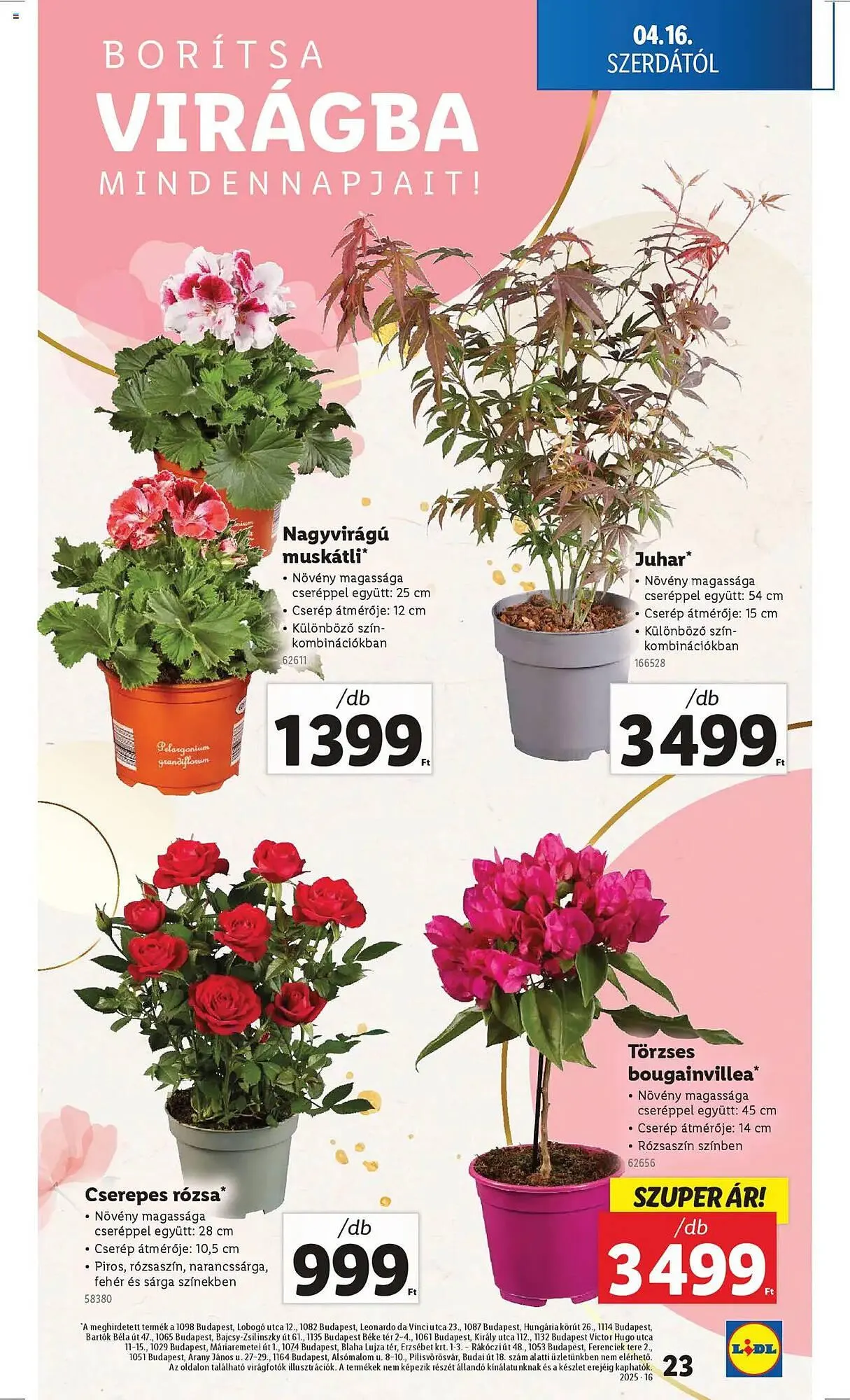 Katalógus Lidl akciós újság április 16.-tól április 22.-ig 2025. - Oldal 23