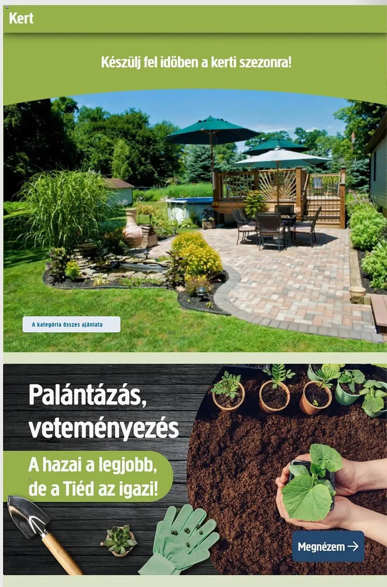 Katalógus Praktiker akciós újság január 31.-tól március 2.-ig 2025. - Oldal 24