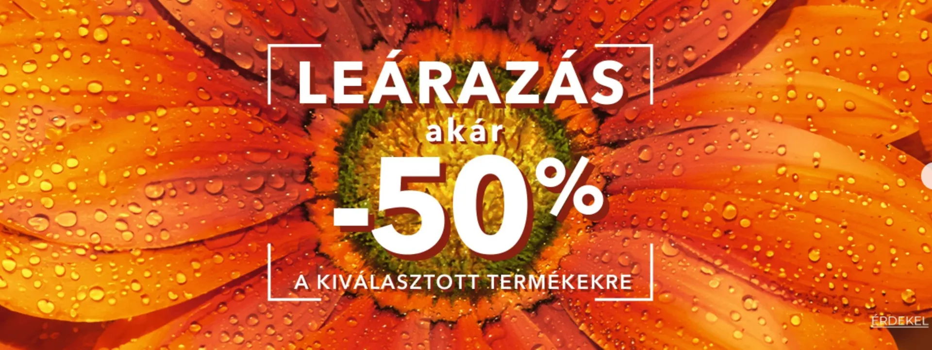 Katalógus Yves Rocher akciós újság július 8.-tól július 14.-ig 2025. - Oldal 2