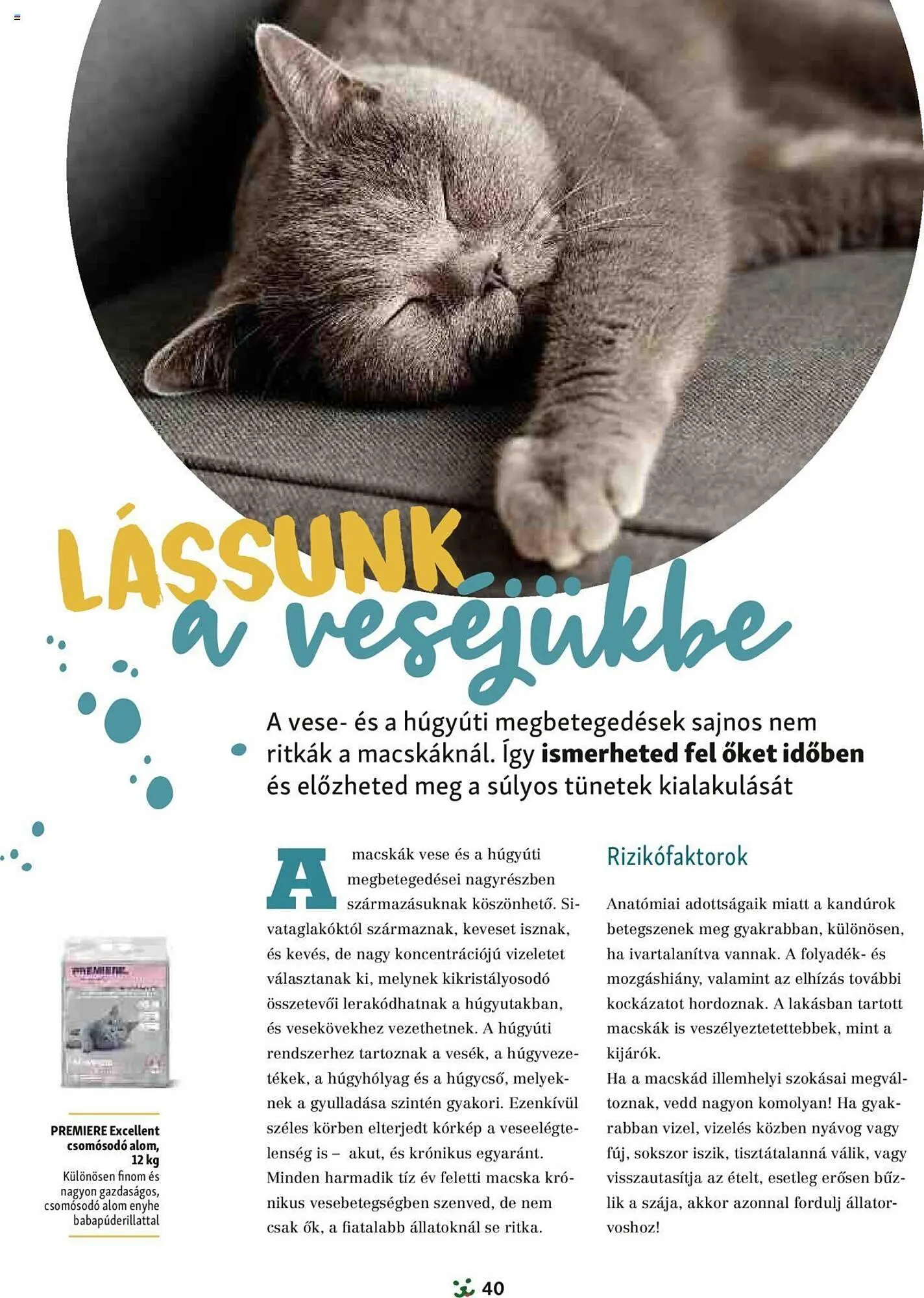 Katalógus Fressnapf akciós újság szeptember 1.-tól november 30.-ig 2024. - Oldal 40