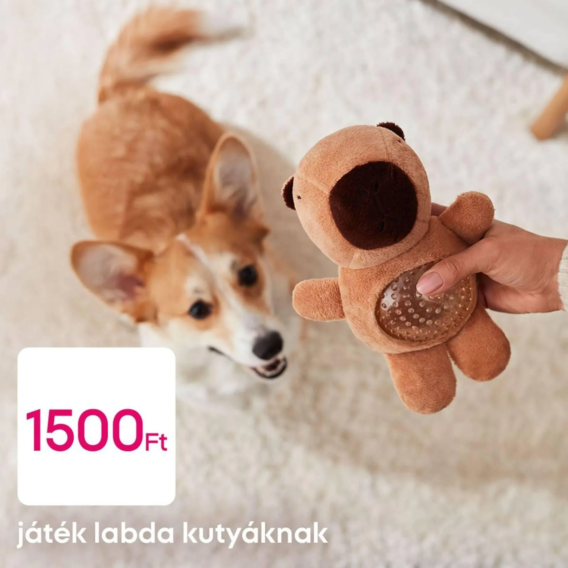 Katalógus Pepco akciós újság január 14.-tól január 20.-ig 2026. - Oldal 4