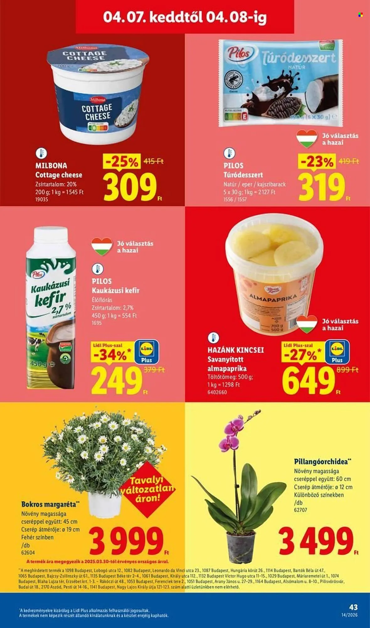 Katalógus Lidl akciós újság április 1.-tól április 8.-ig 2026. - Oldal 43