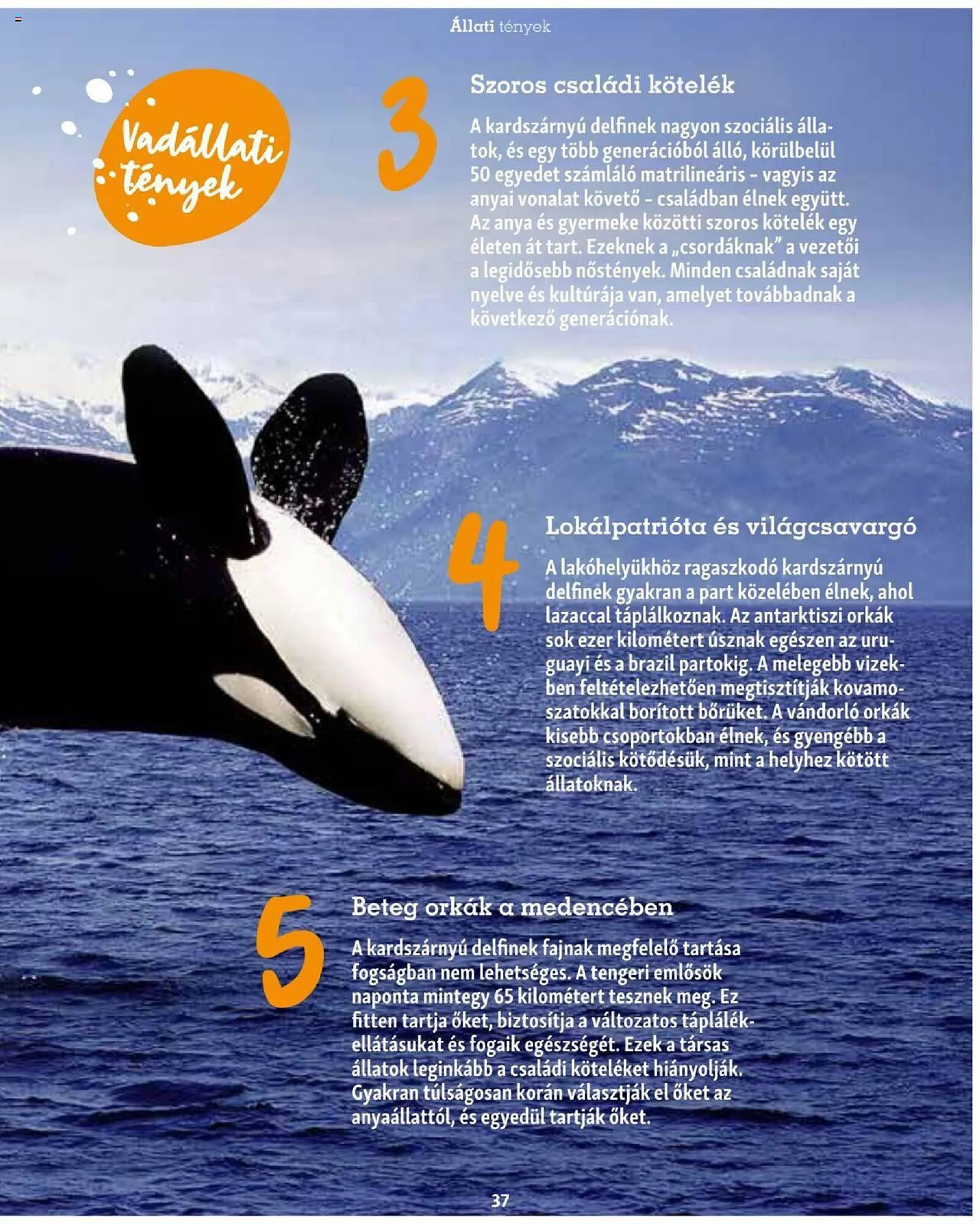 Katalógus Fressnapf akciós újság szeptember 25.-tól november 30.-ig 2023. - Oldal 37