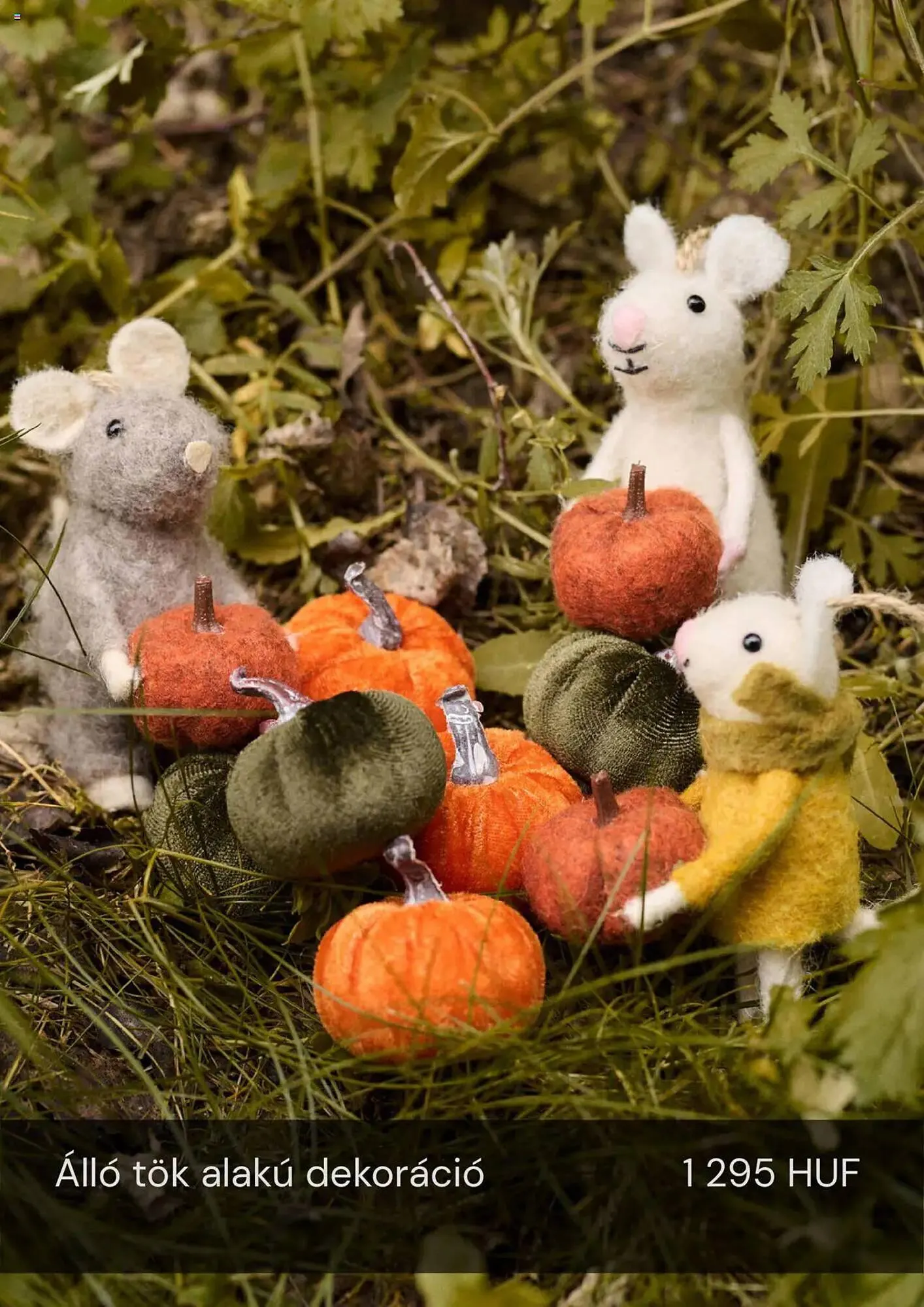 Katalógus Sinsay akciós újság szeptember 24.-tól október 20.-ig 2025. - Oldal 3