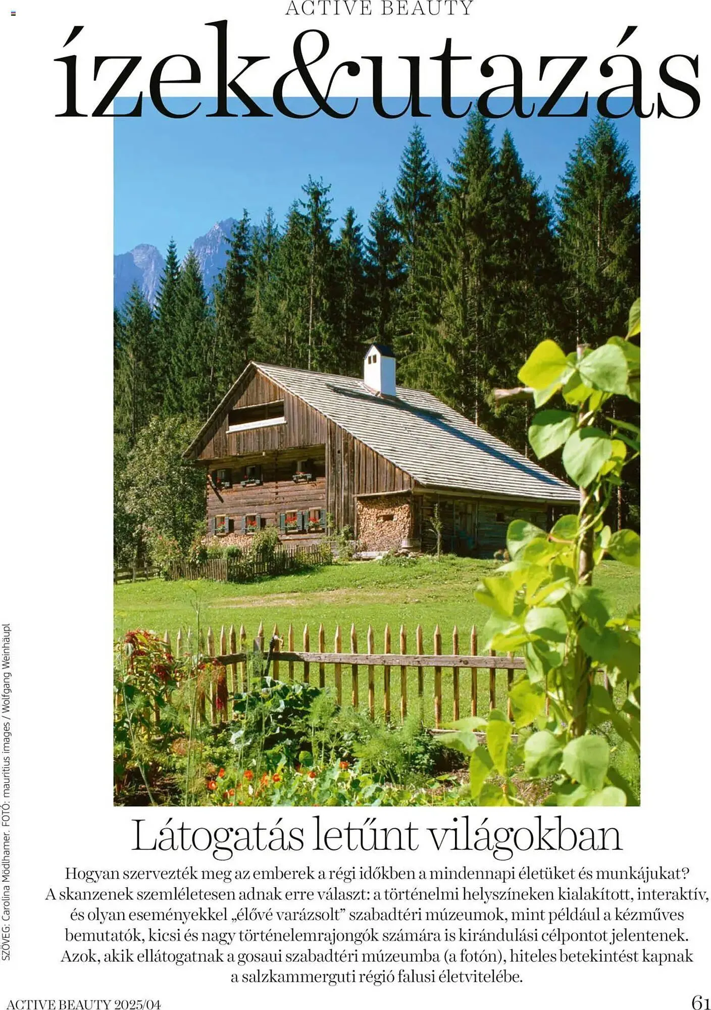 Katalógus DM akciós újság április 16.-tól április 24.-ig 2025. - Oldal 61