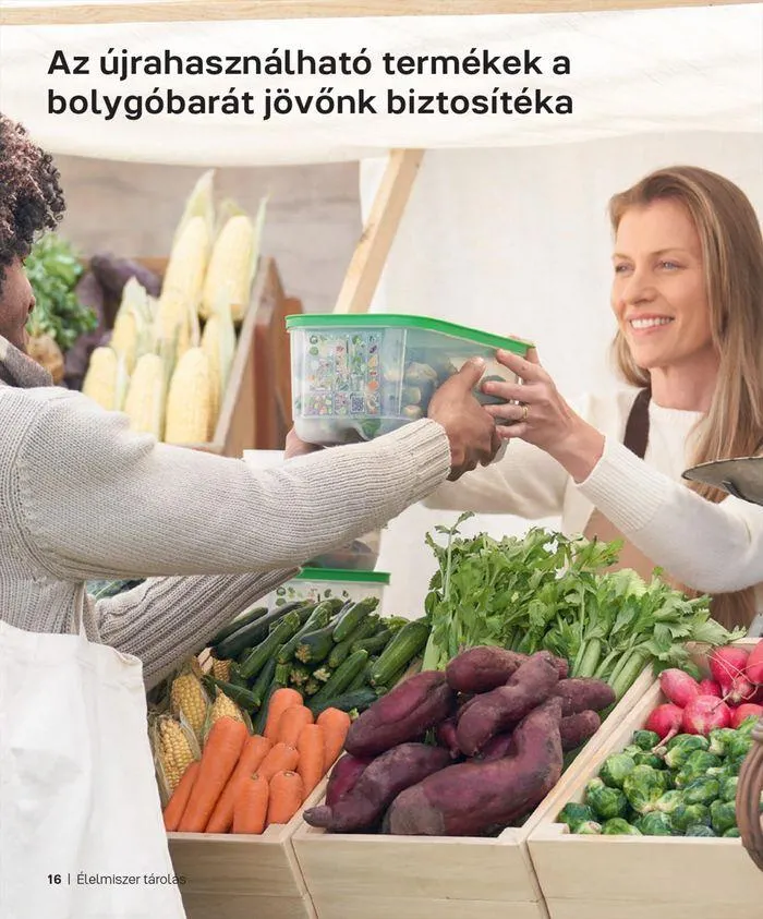 Katalógus Tupperware akciós szeptember 7.-tól december 31.-ig 2024. - Oldal 16