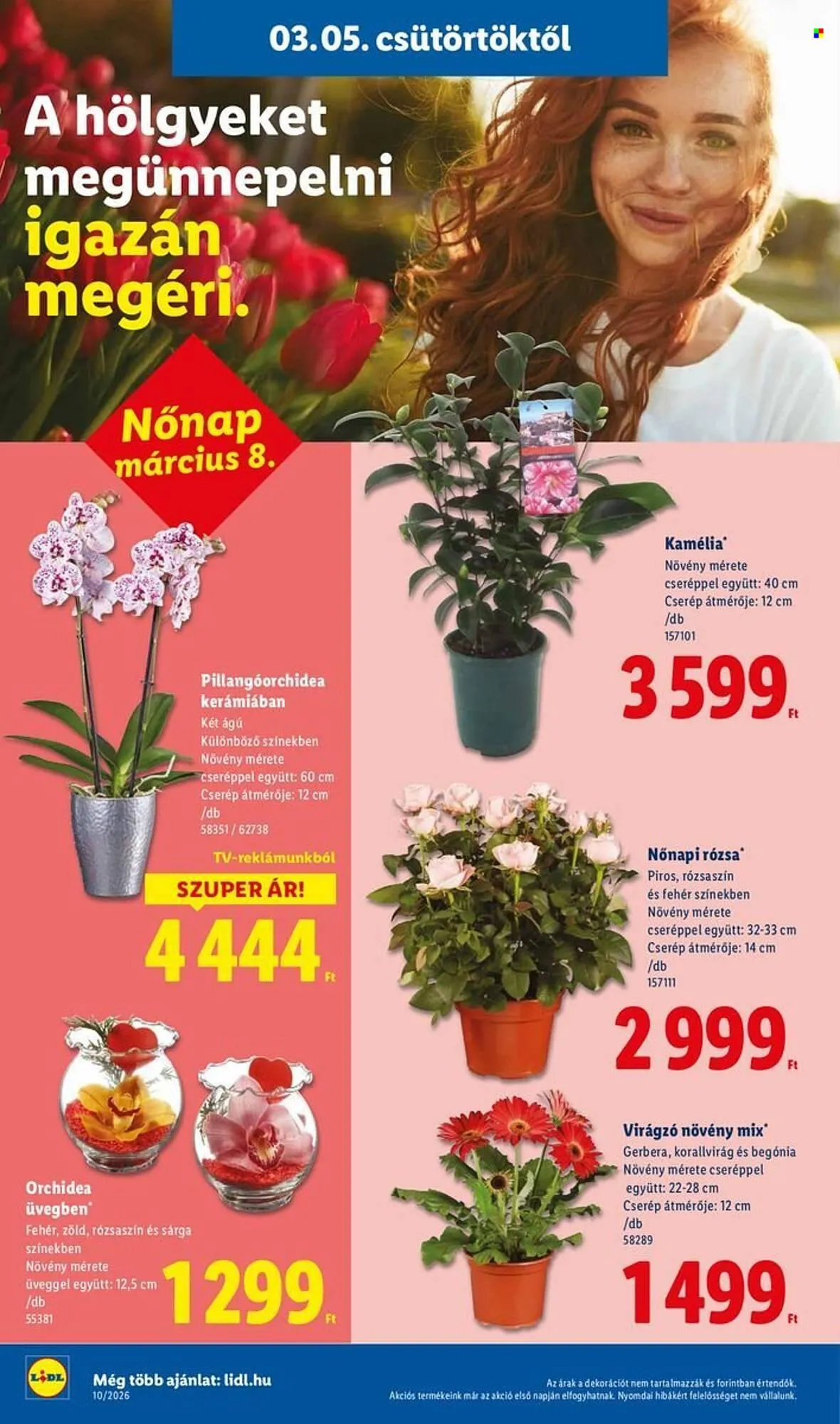 Katalógus Lidl akciós újság március 5.-tól március 11.-ig 2026. - Oldal 14