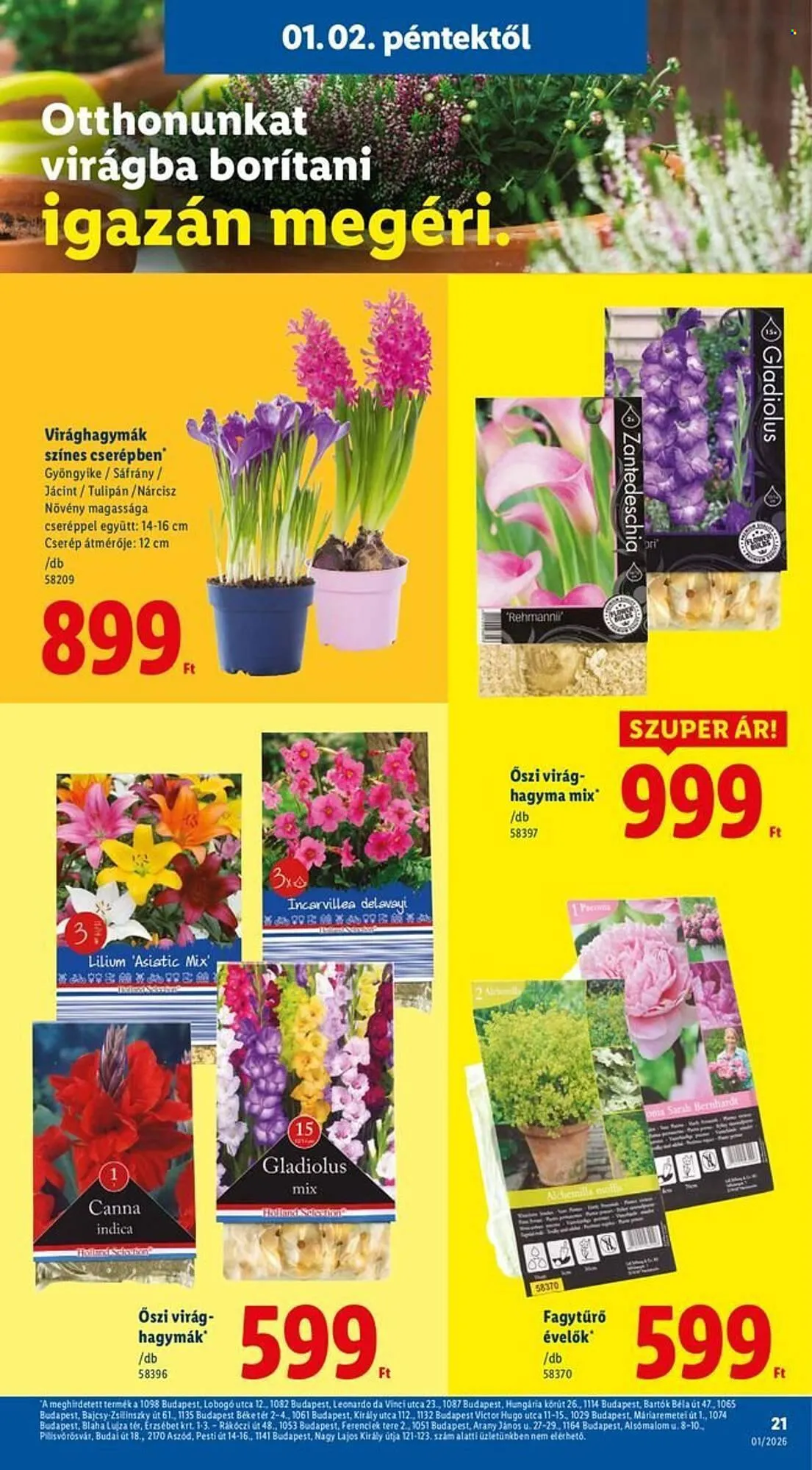 Katalógus Lidl akciós újság január 2.-tól január 7.-ig 2026. - Oldal 21