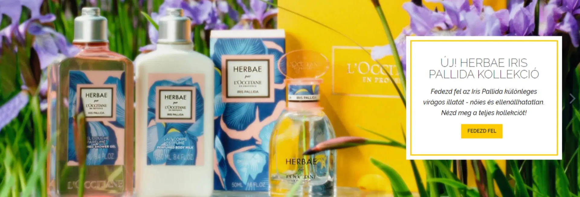 LOccitane akciós újság - 1