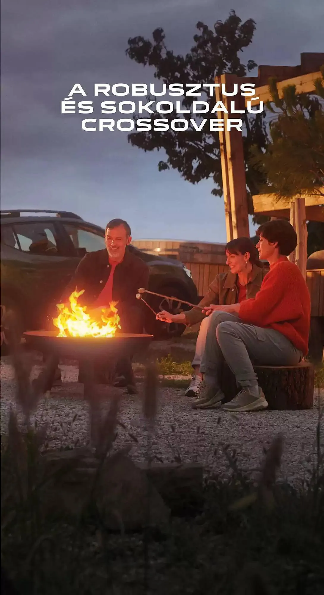 Katalógus Dacia akciós újság január 3.-tól június 30.-ig 2025. - Oldal 3