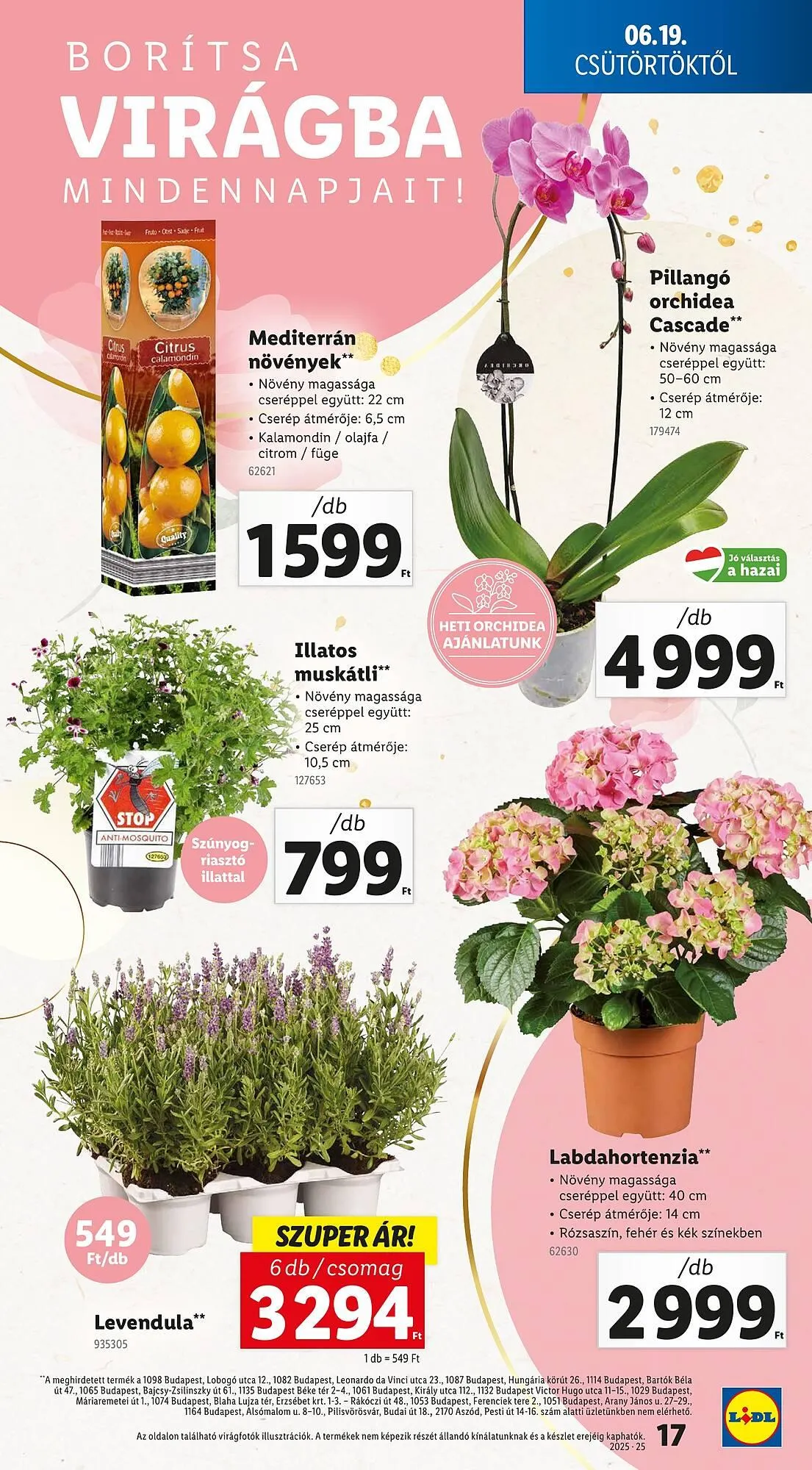 Katalógus Lidl akciós újság június 19.-tól június 25.-ig 2025. - Oldal 17