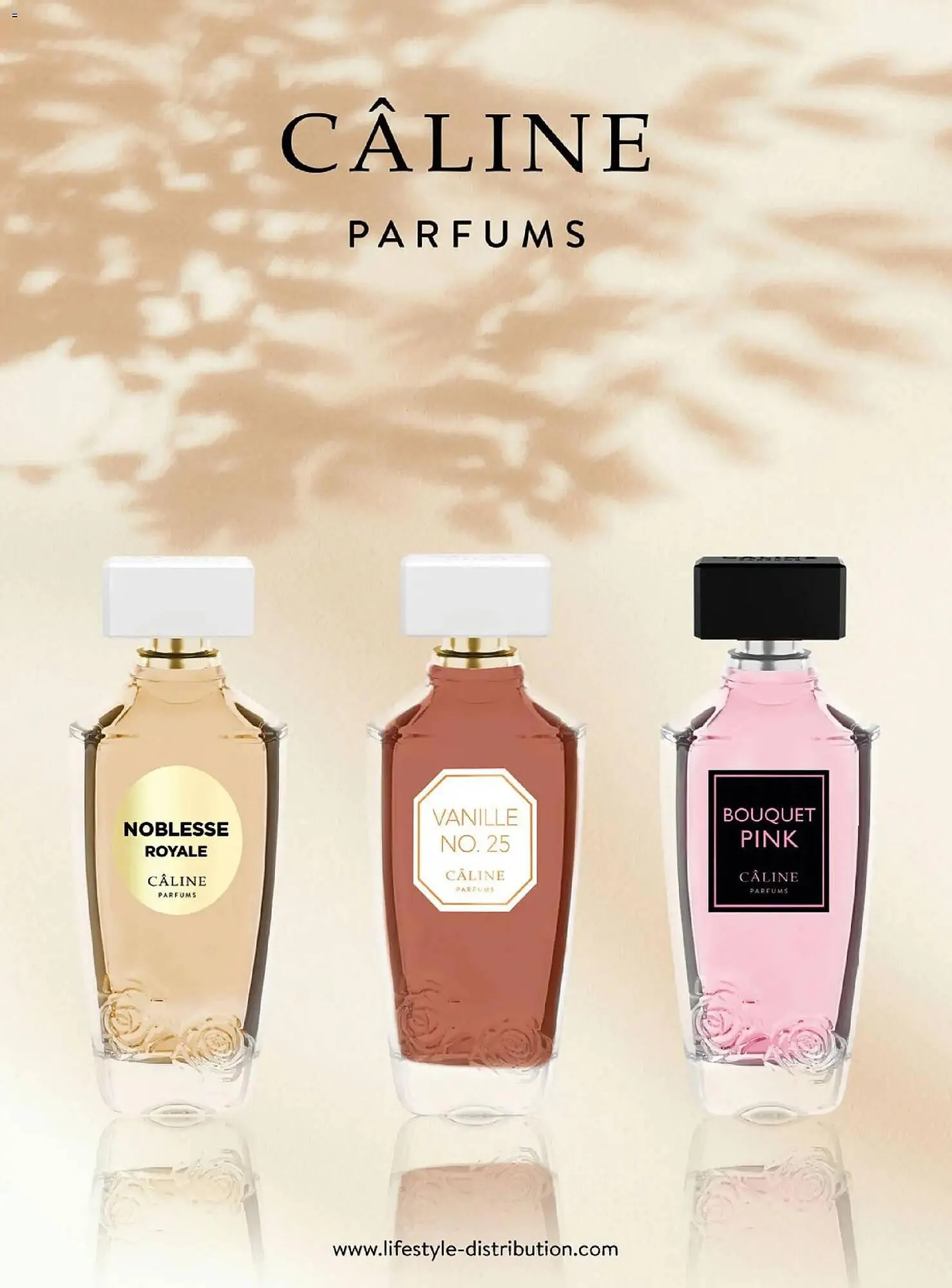 Katalógus DM akciós újság december 18.-tól január 31.-ig 2026. - Oldal 24