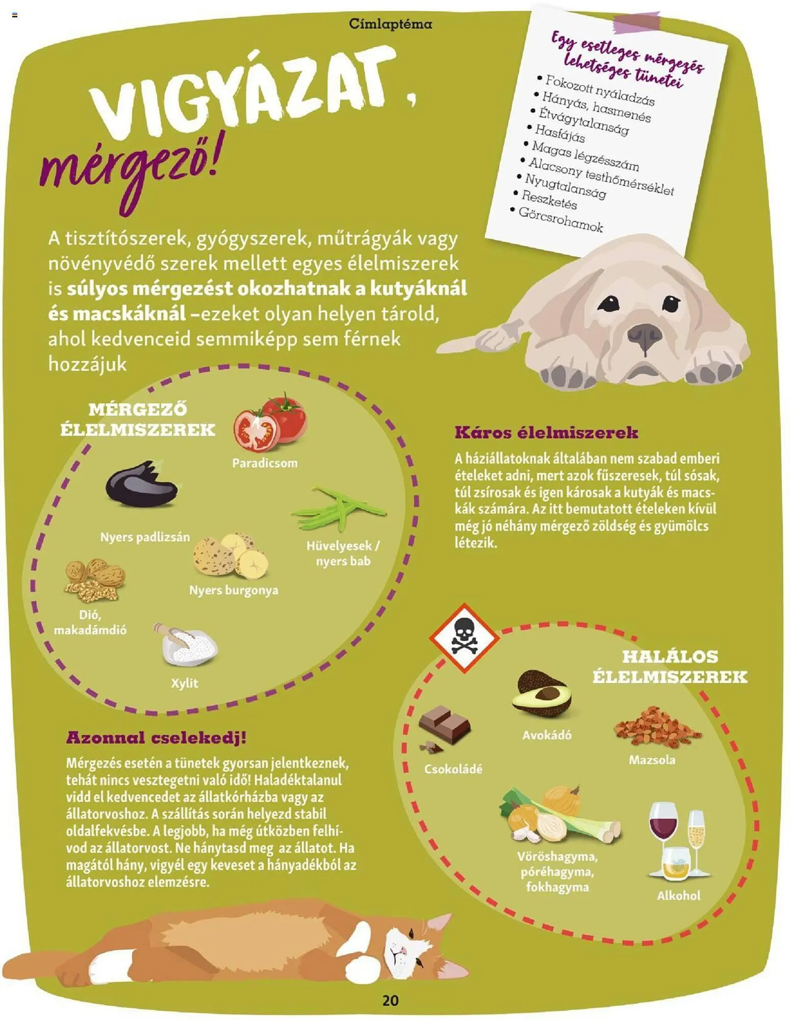 Katalógus Fressnapf akciós újság szeptember 25.-tól november 30.-ig 2023. - Oldal 20