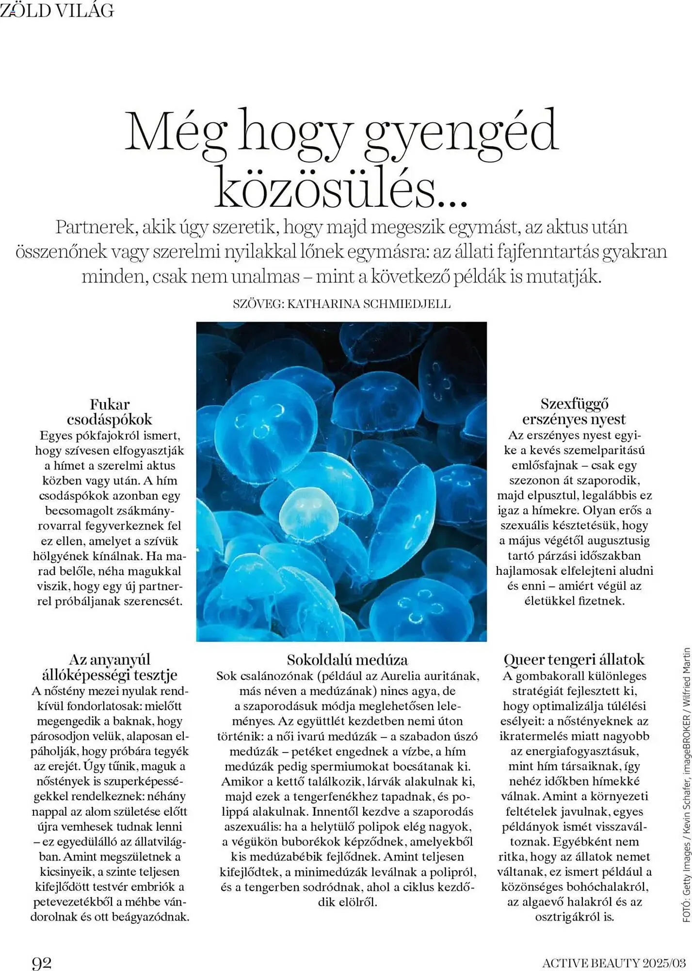 Katalógus DM akciós újság március 20.-tól március 27.-ig 2025. - Oldal 92