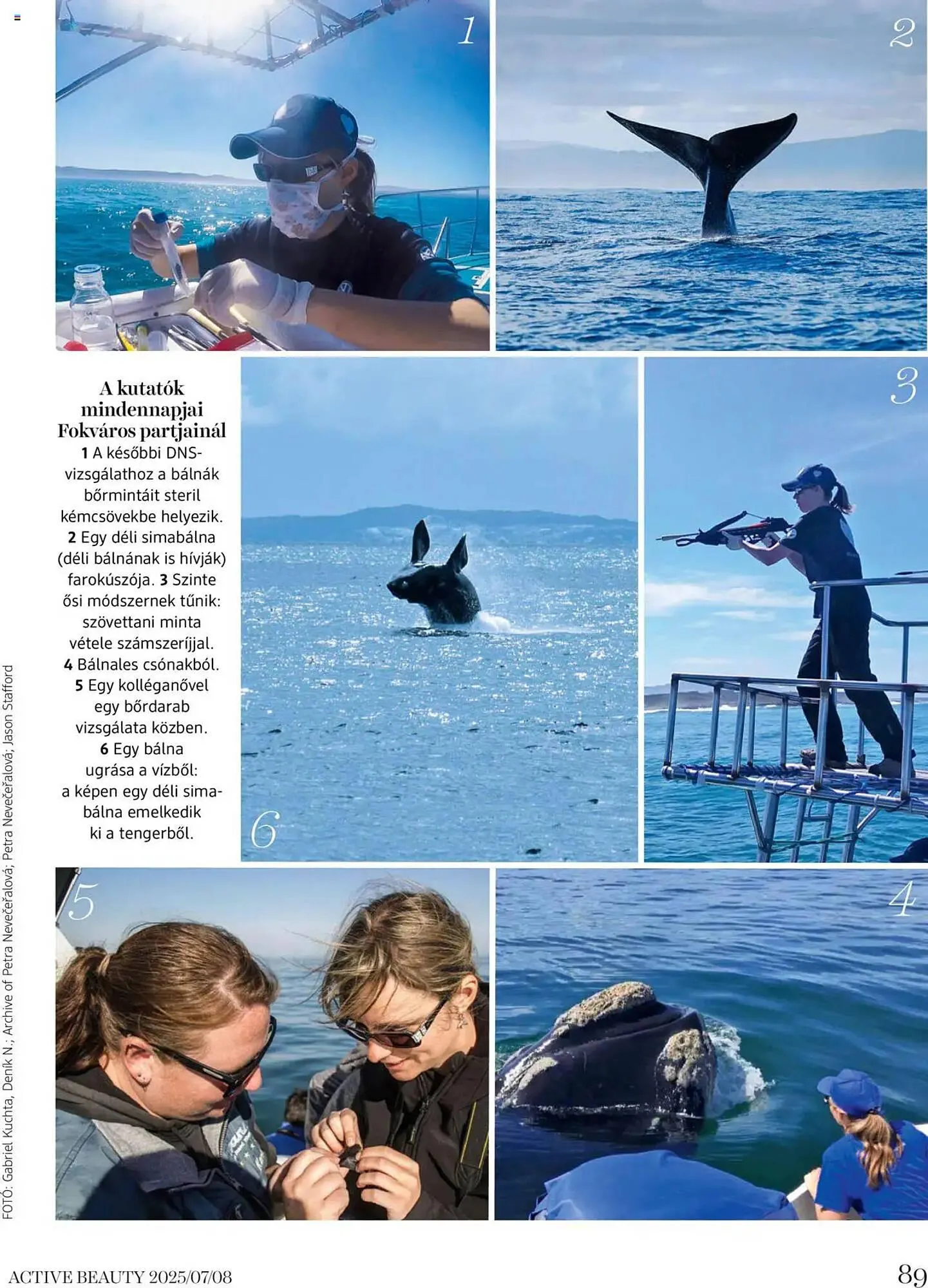 Katalógus DM akciós újság július 16.-tól augusztus 31.-ig 2025. - Oldal 89