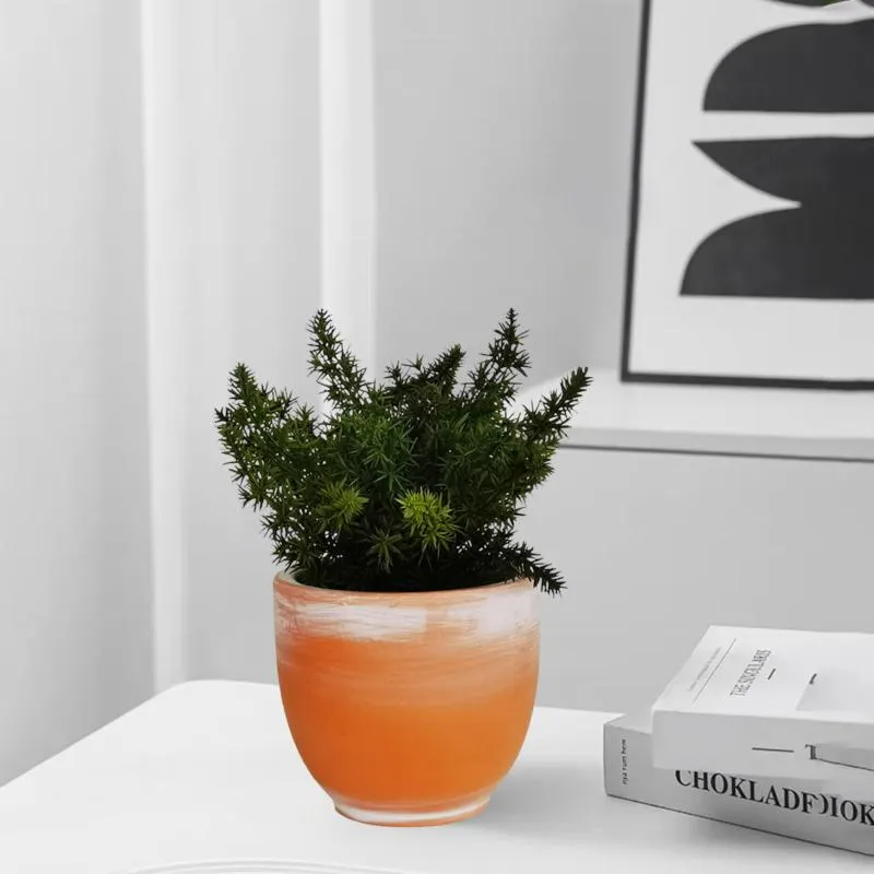 Aszparágusz cserepes művirág