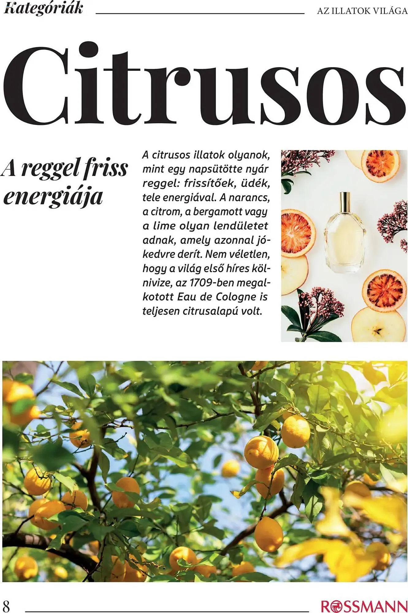 Katalógus Rossmann akciós újság október 16.-tól december 31.-ig 2025. - Oldal 8