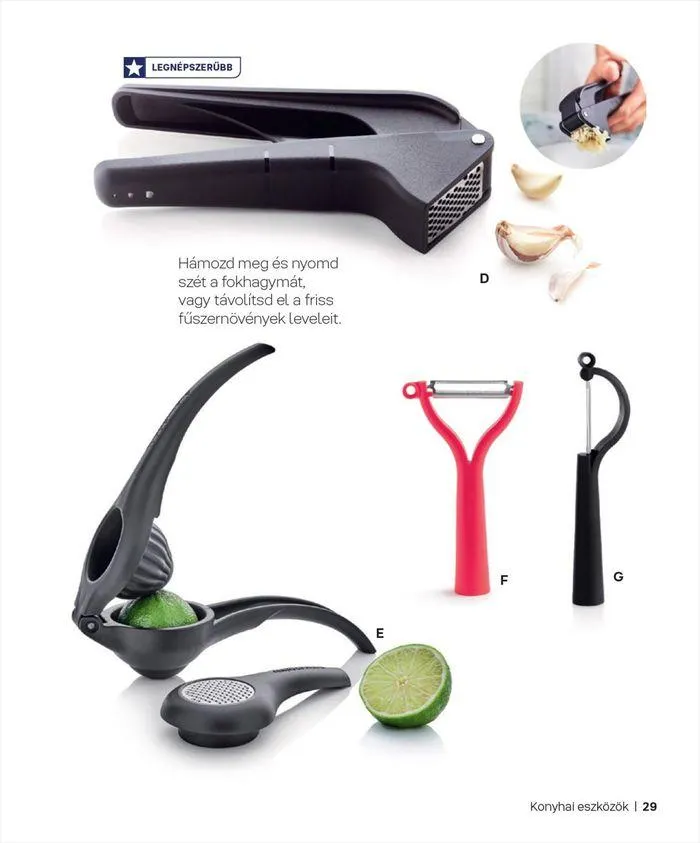 Katalógus Tupperware akciós szeptember 7.-tól december 31.-ig 2024. - Oldal 29