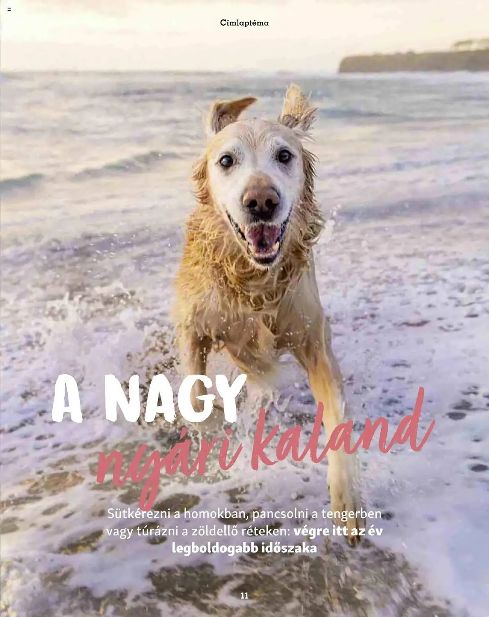 Katalógus Fressnapf akciós újság május 5.-tól május 13.-ig 2025. - Oldal 11