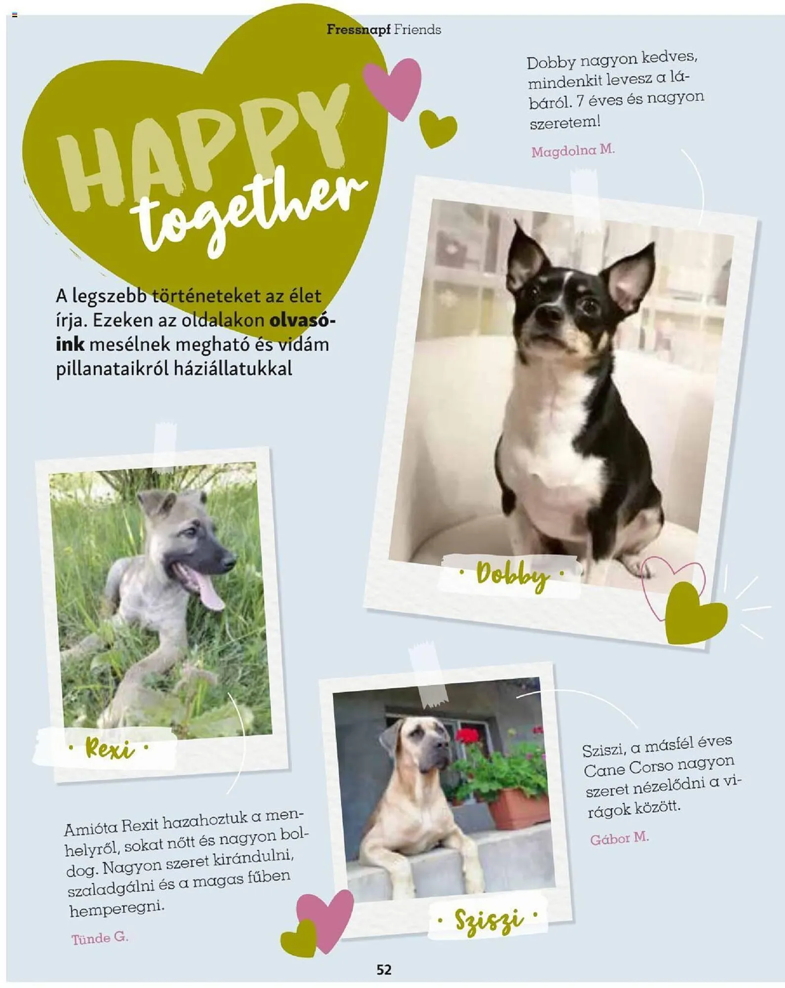 Katalógus Fressnapf akciós újság szeptember 25.-tól november 30.-ig 2023. - Oldal 52