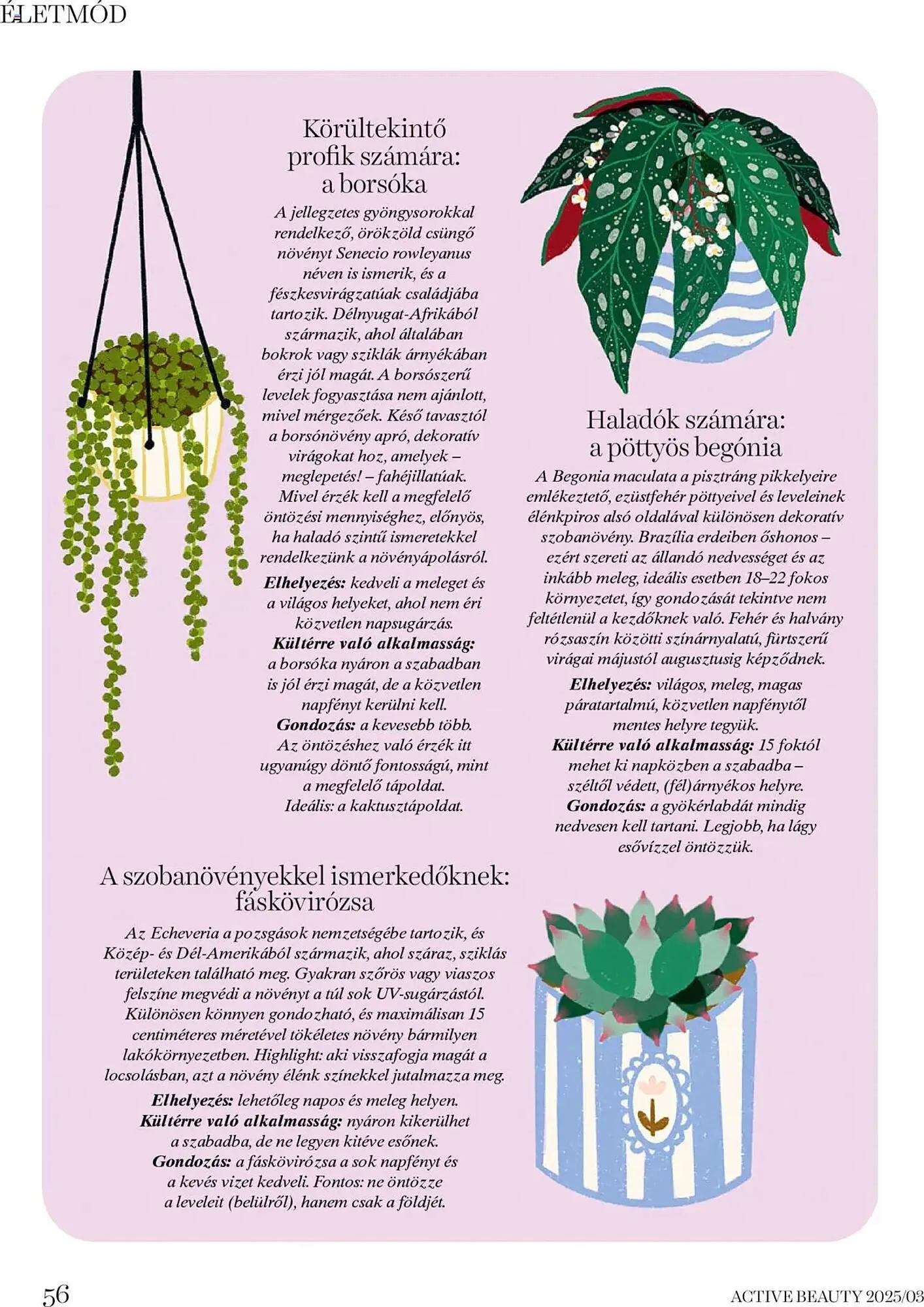 Katalógus DM akciós újság március 20.-tól március 27.-ig 2025. - Oldal 56