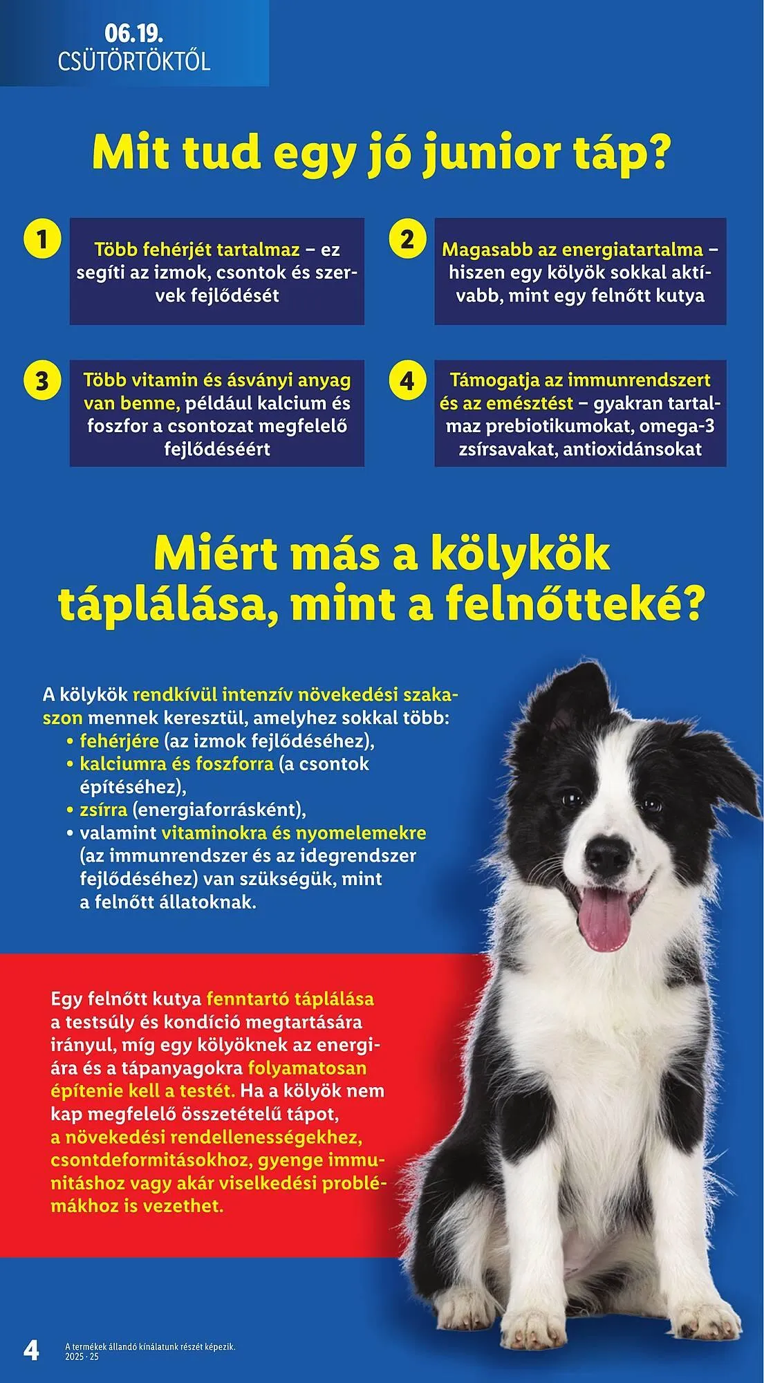 Katalógus Lidl akciós újság június 19.-tól július 9.-ig 2025. - Oldal 4