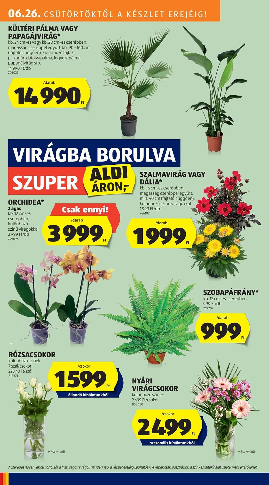 Katalógus ALDI akciós újság június 22.-tól július 10.-ig 2025. - Oldal 10