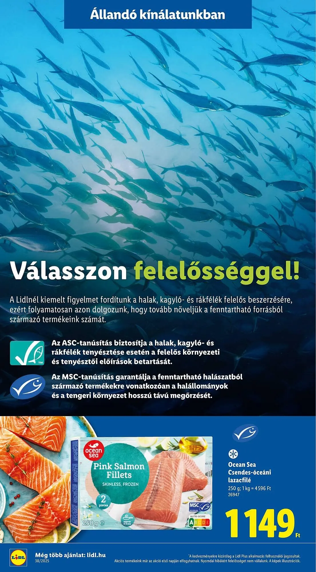 Katalógus Lidl akciós újság szeptember 11.-tól december 31.-ig 2025. - Oldal 26