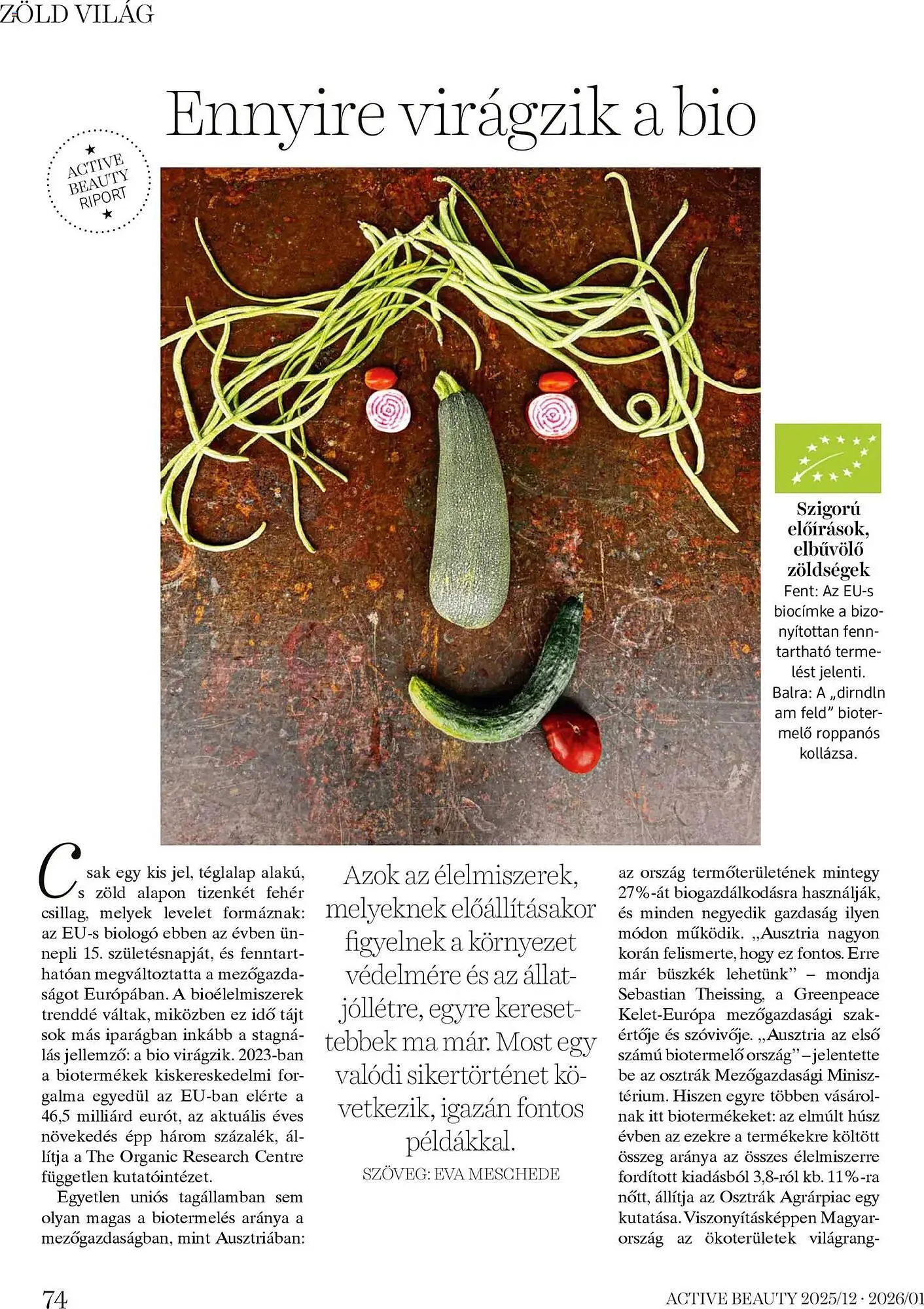 Katalógus DM akciós újság december 18.-tól január 31.-ig 2026. - Oldal 74