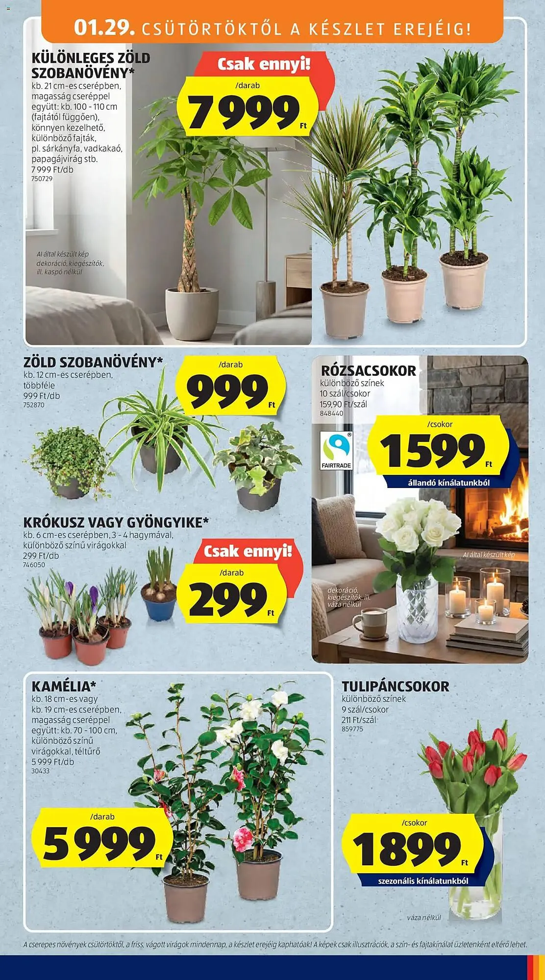 Katalógus ALDI akciós újság január 29.-tól február 4.-ig 2026. - Oldal 23