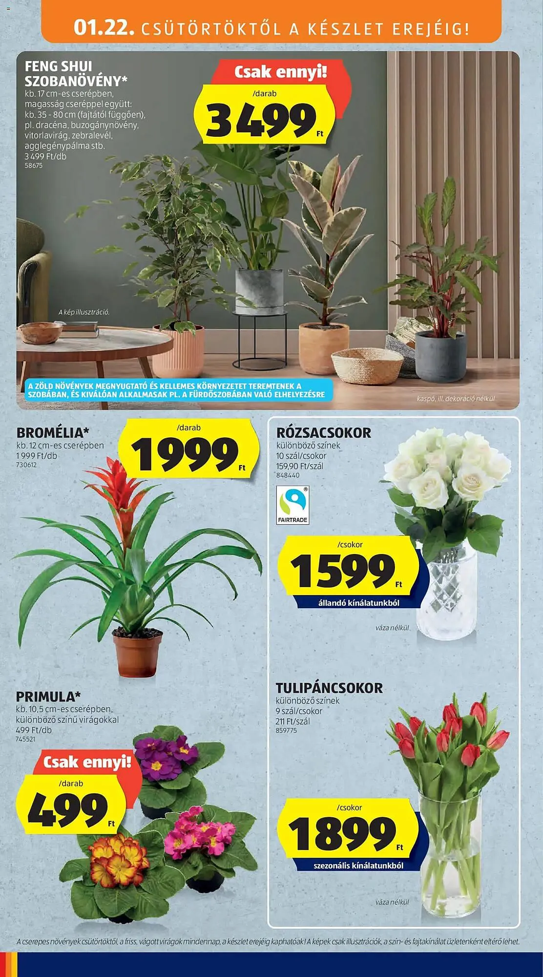 Katalógus ALDI akciós újság január 22.-tól január 28.-ig 2026. - Oldal 4