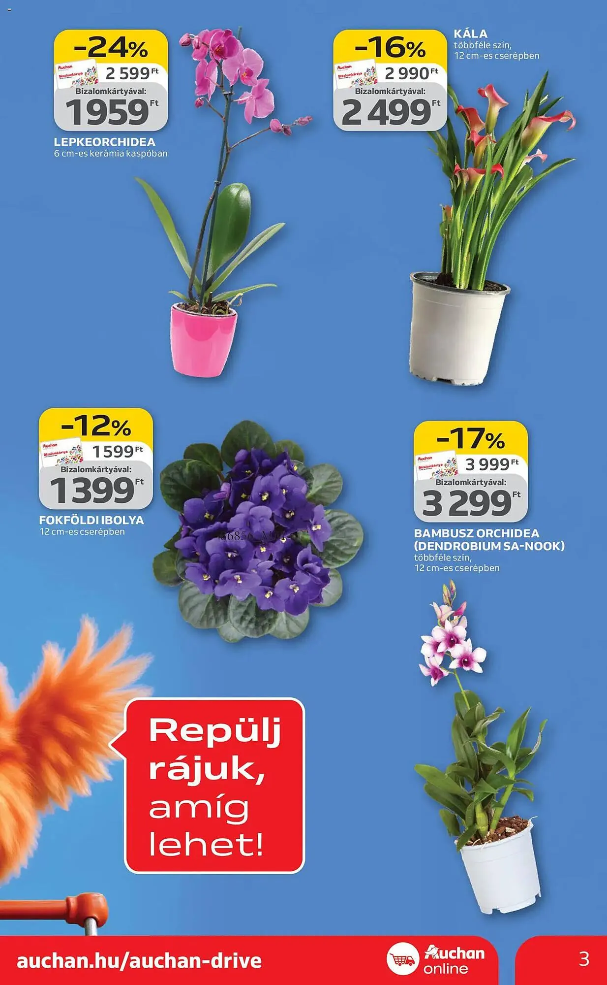 Katalógus Auchan akciós újság február 5.-tól február 11.-ig 2026. - Oldal 3