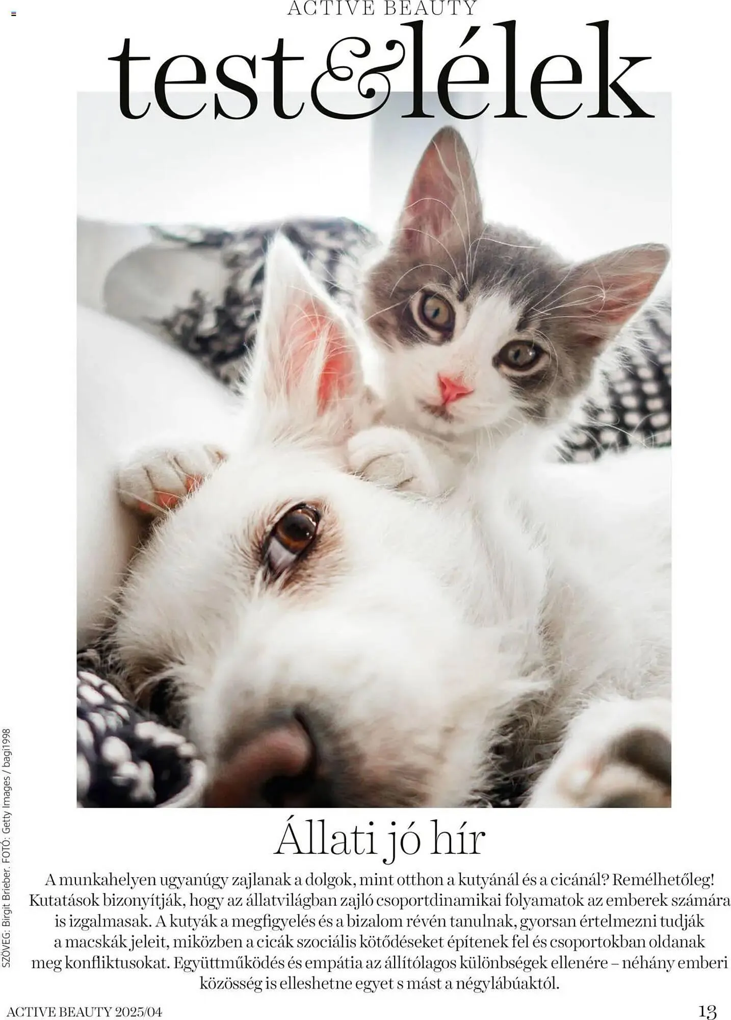 Katalógus DM akciós újság április 16.-tól április 24.-ig 2025. - Oldal 13