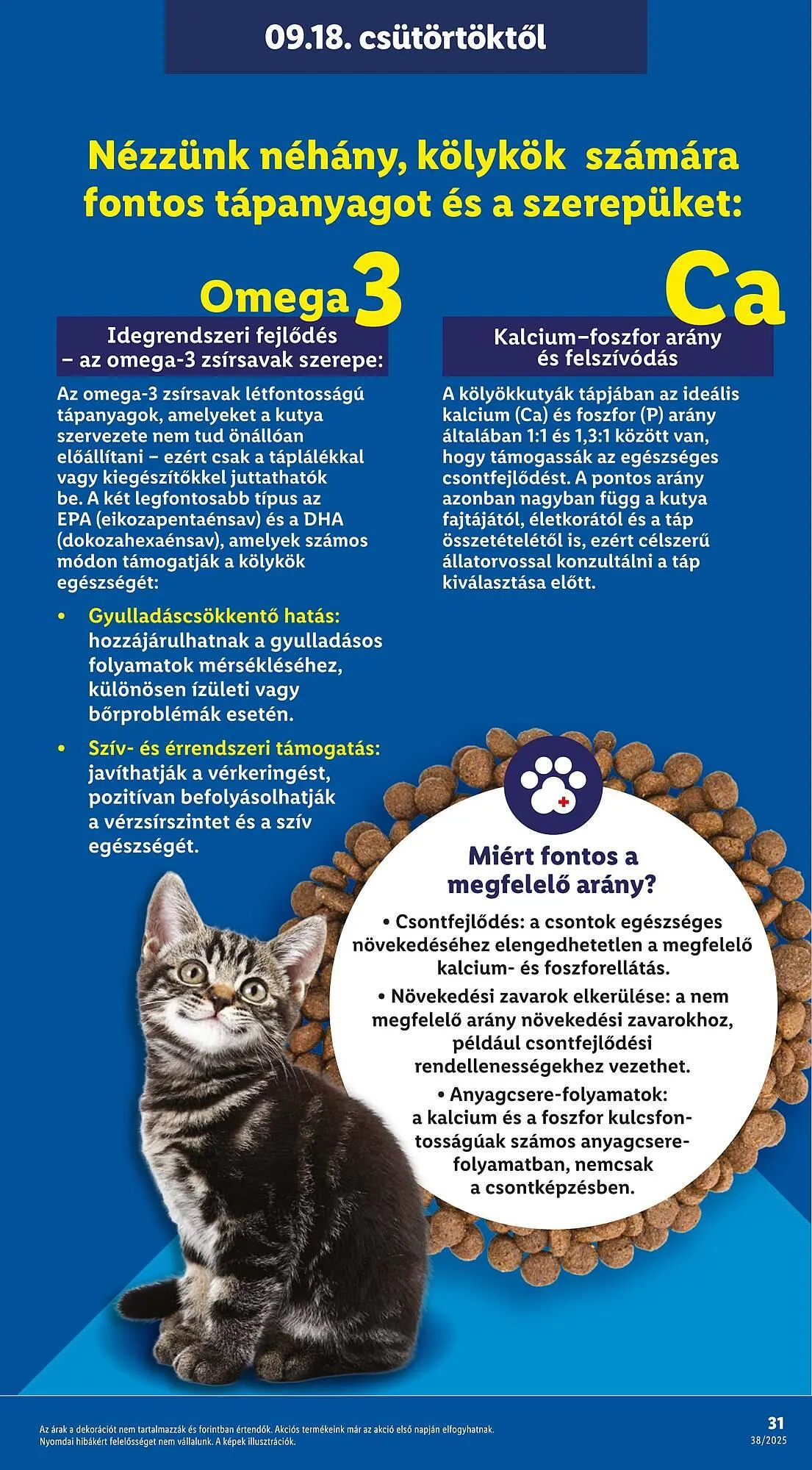 Katalógus Lidl akciós újság szeptember 11.-tól december 31.-ig 2025. - Oldal 31