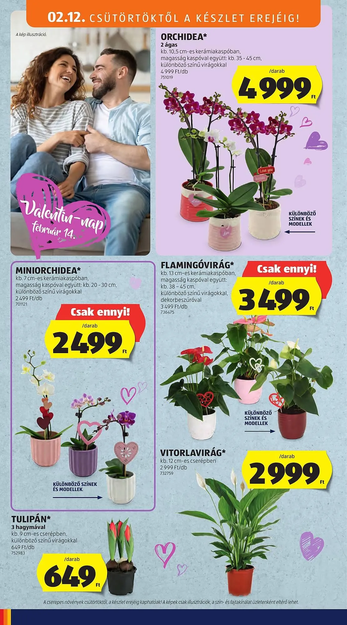 Katalógus ALDI akciós újság február 12.-tól február 25.-ig 2026. - Oldal 6