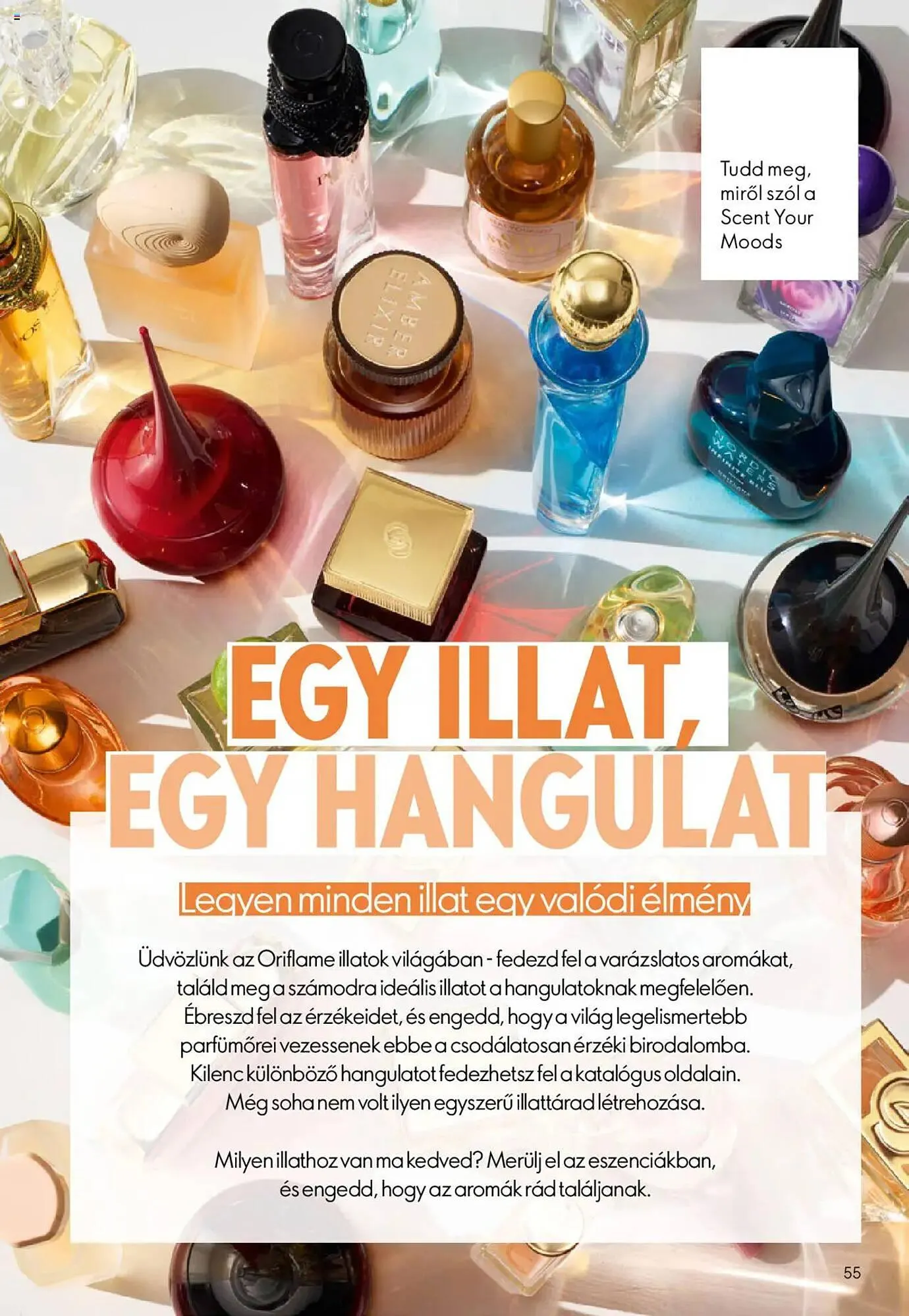 Katalógus Oriflame katalógus október 1.-tól október 21.-ig 2025. - Oldal 55