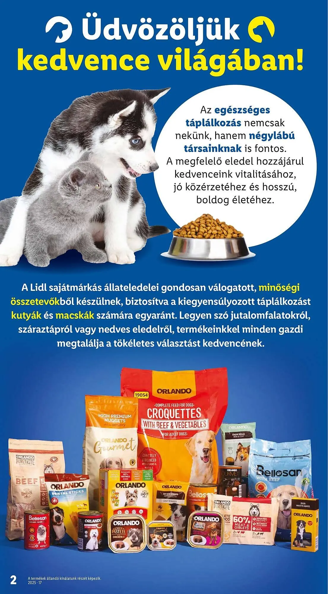 Katalógus Lidl akciós újság április 24.-tól június 17.-ig 2025. - Oldal 2