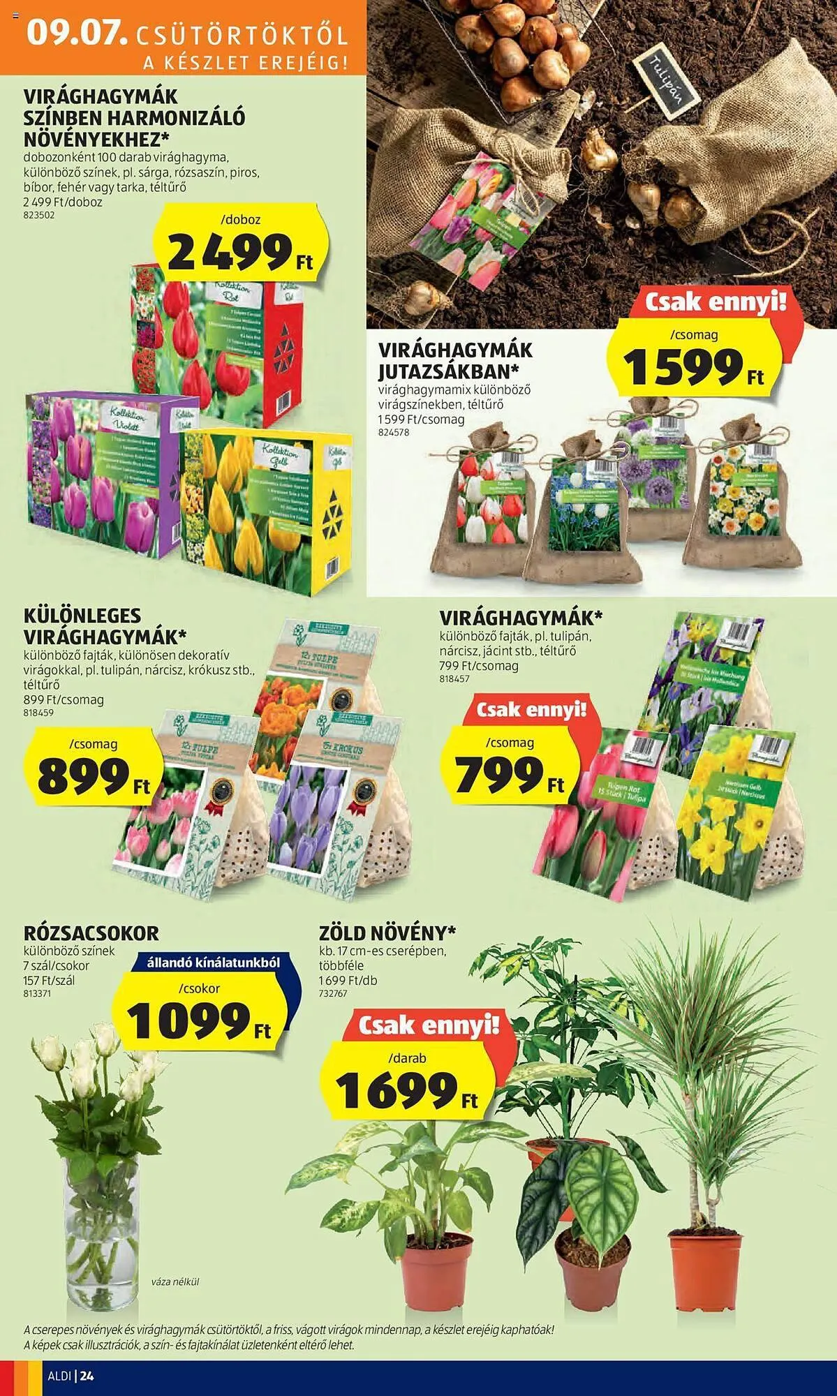 Katalógus ALDI akciós újság szeptember 7.-tól szeptember 13.-ig 2023. - Oldal 26