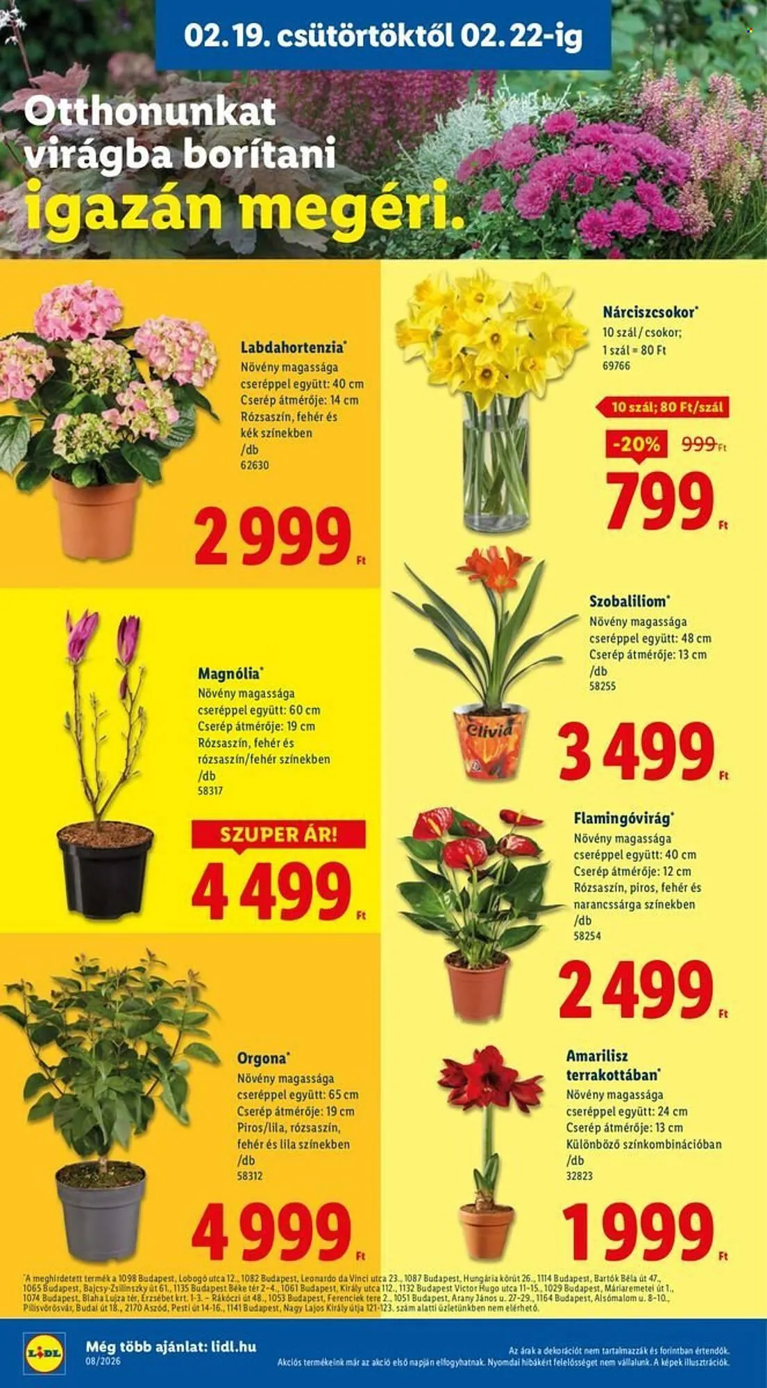 Katalógus Lidl akciós újság február 19.-tól február 25.-ig 2026. - Oldal 18