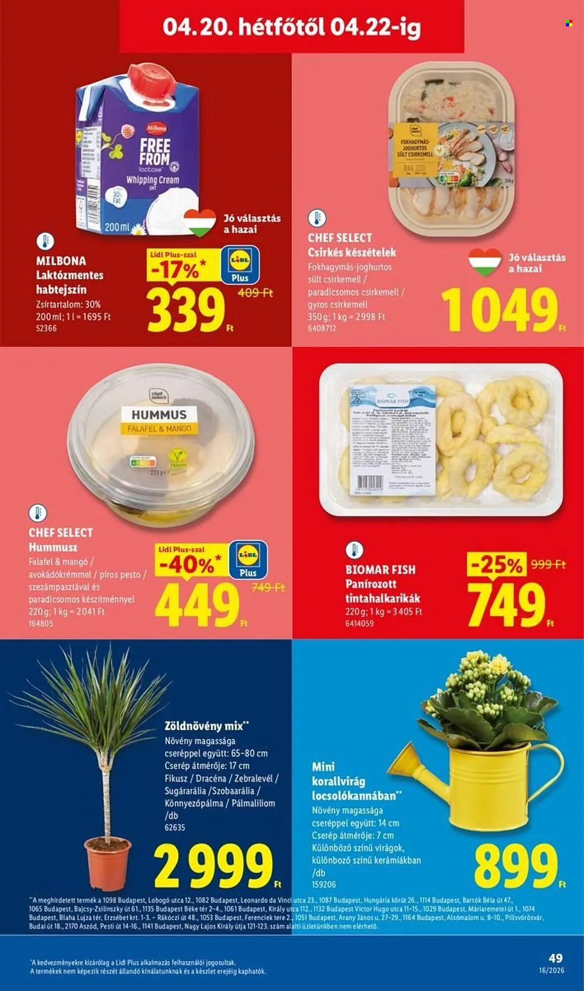Katalógus Lidl akciós újság április 16.-tól április 22.-ig 2026. - Oldal 49
