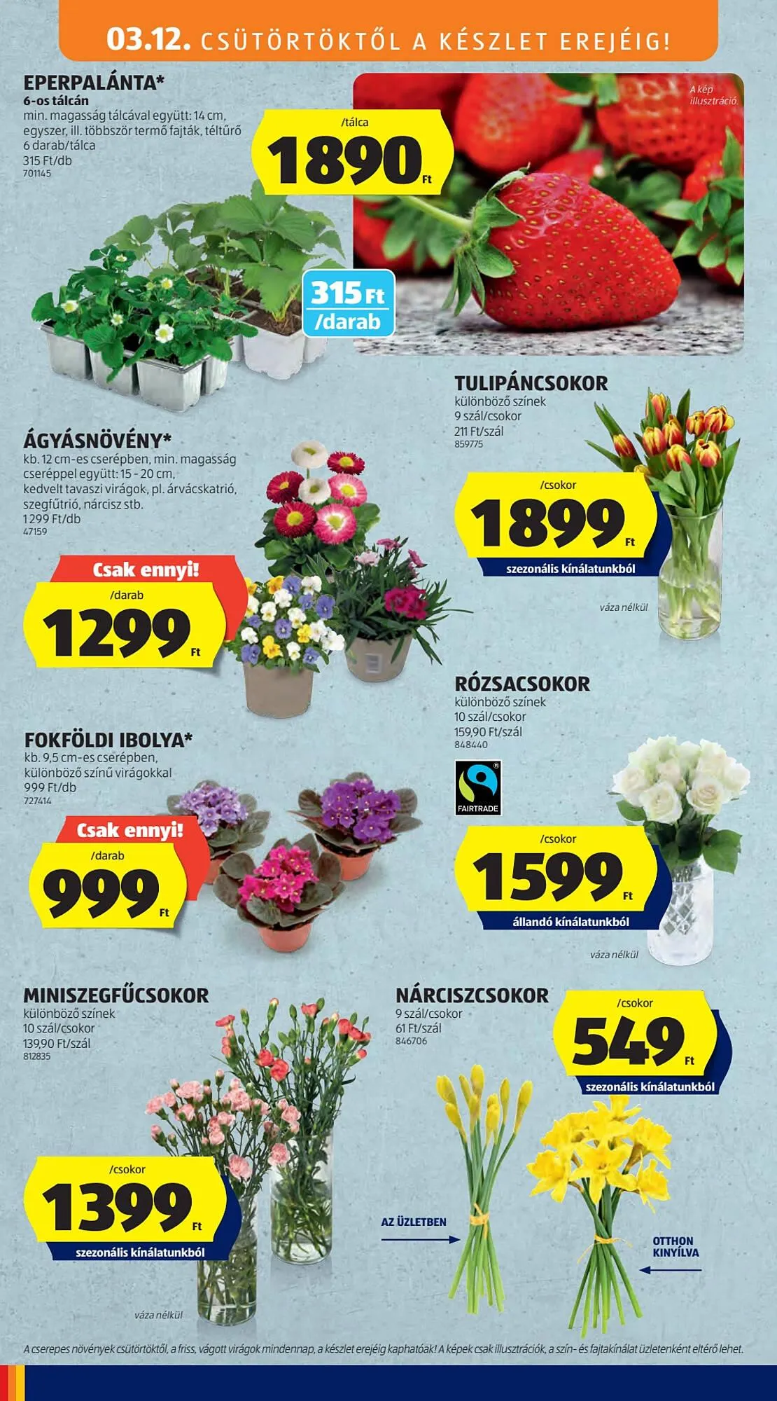 Katalógus ALDI akciós újság március 12.-tól március 16.-ig 2026. - Oldal 10